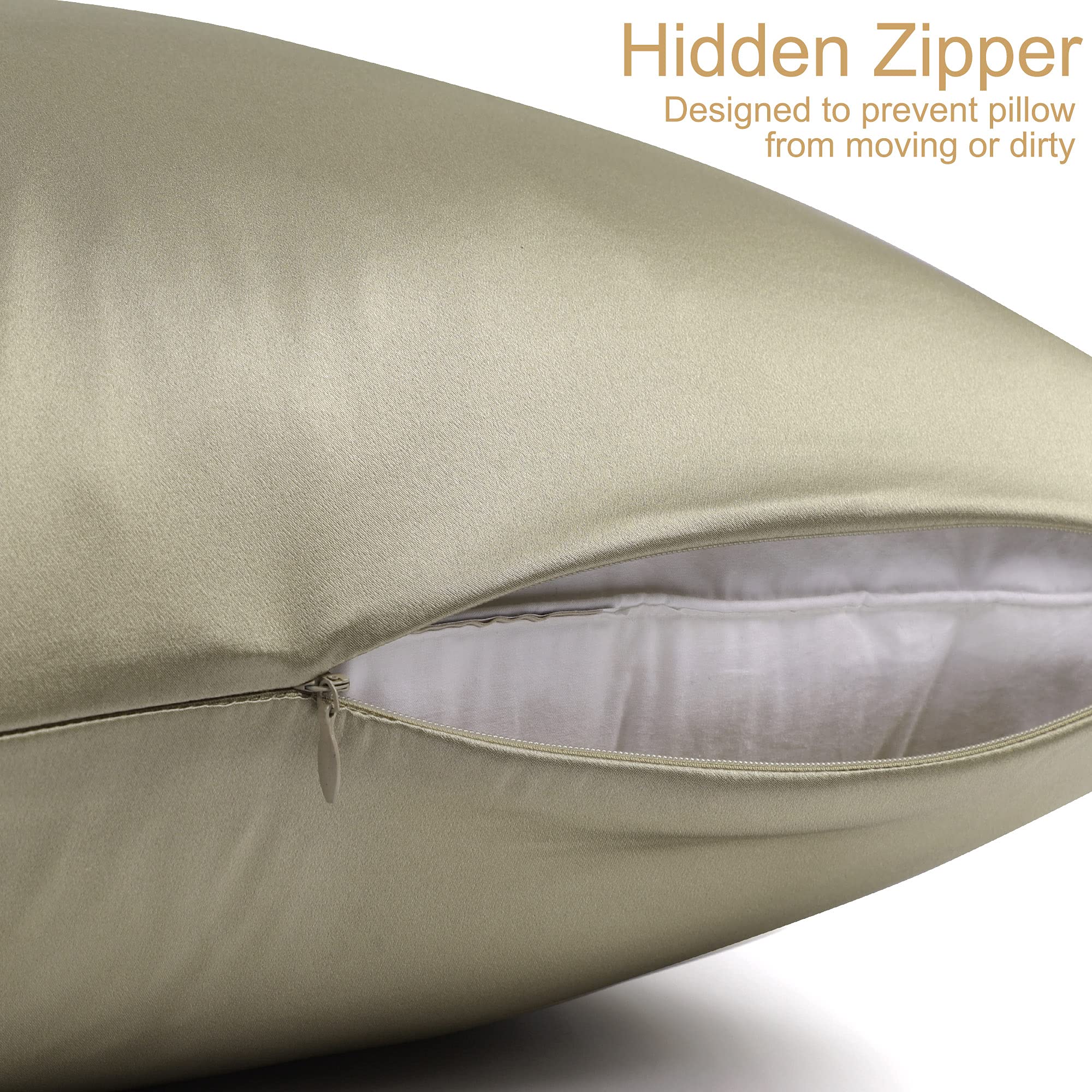 View 4