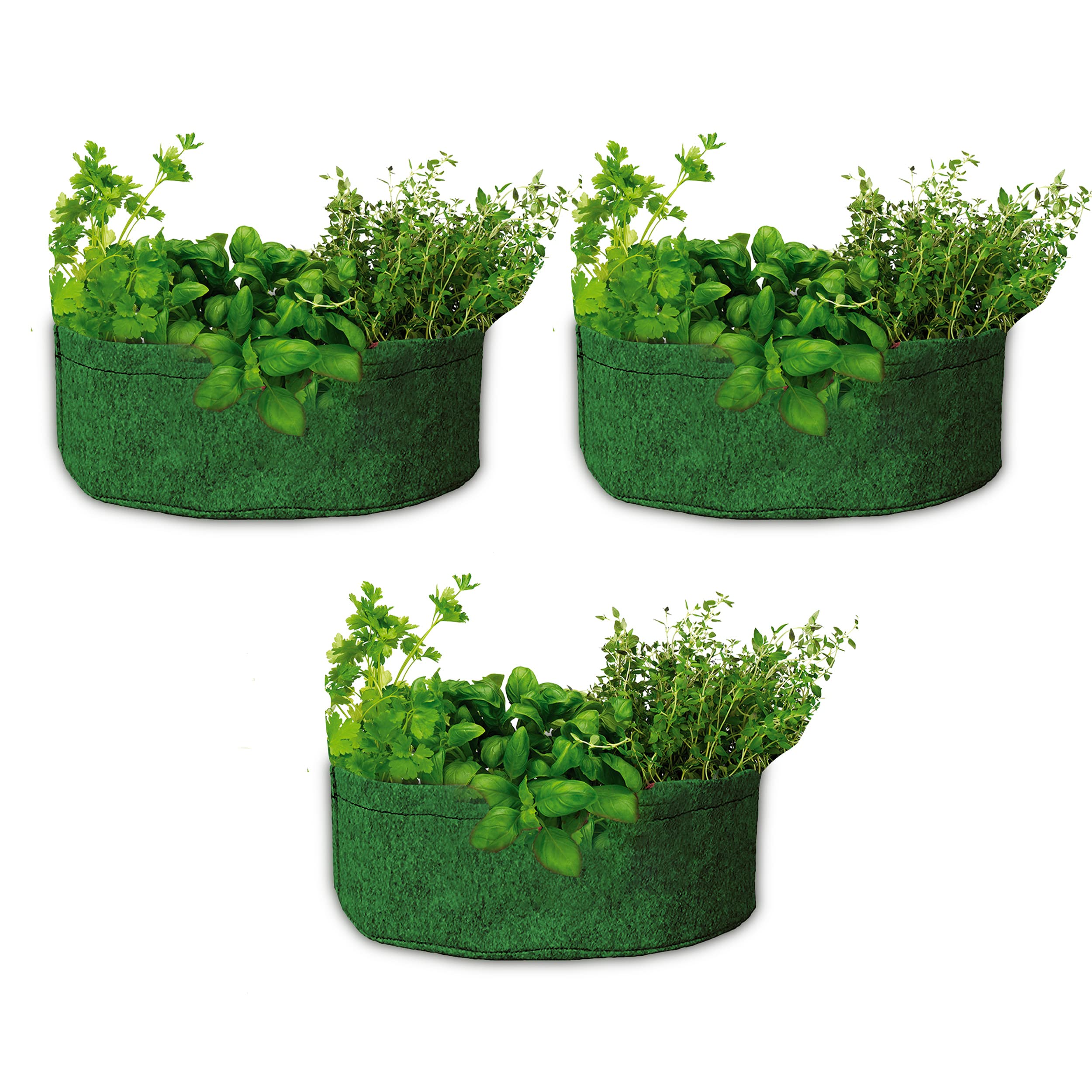 See full amazon price history chart for Bombay Greens Geo Fabric Grow Bags Premium 350 GSM Bags for Terrace Kitchen Gardening - Set of 3 12x4 inches - Green Bombay Greens Geo Fabric Grow Bags Premium 350 GSM Bags for Terrace Kitchen Gardening - Set of 3 12x4 inches - Green (B0BK457514) Amazon Price History, Amazon Price Tracker