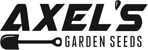 Miniatura 7 de Semillas de rábano daikon japonés para plantar - 100 semillas autóctonas sin OMG - Instrucciones completas de siembra para plantar y cultivar un