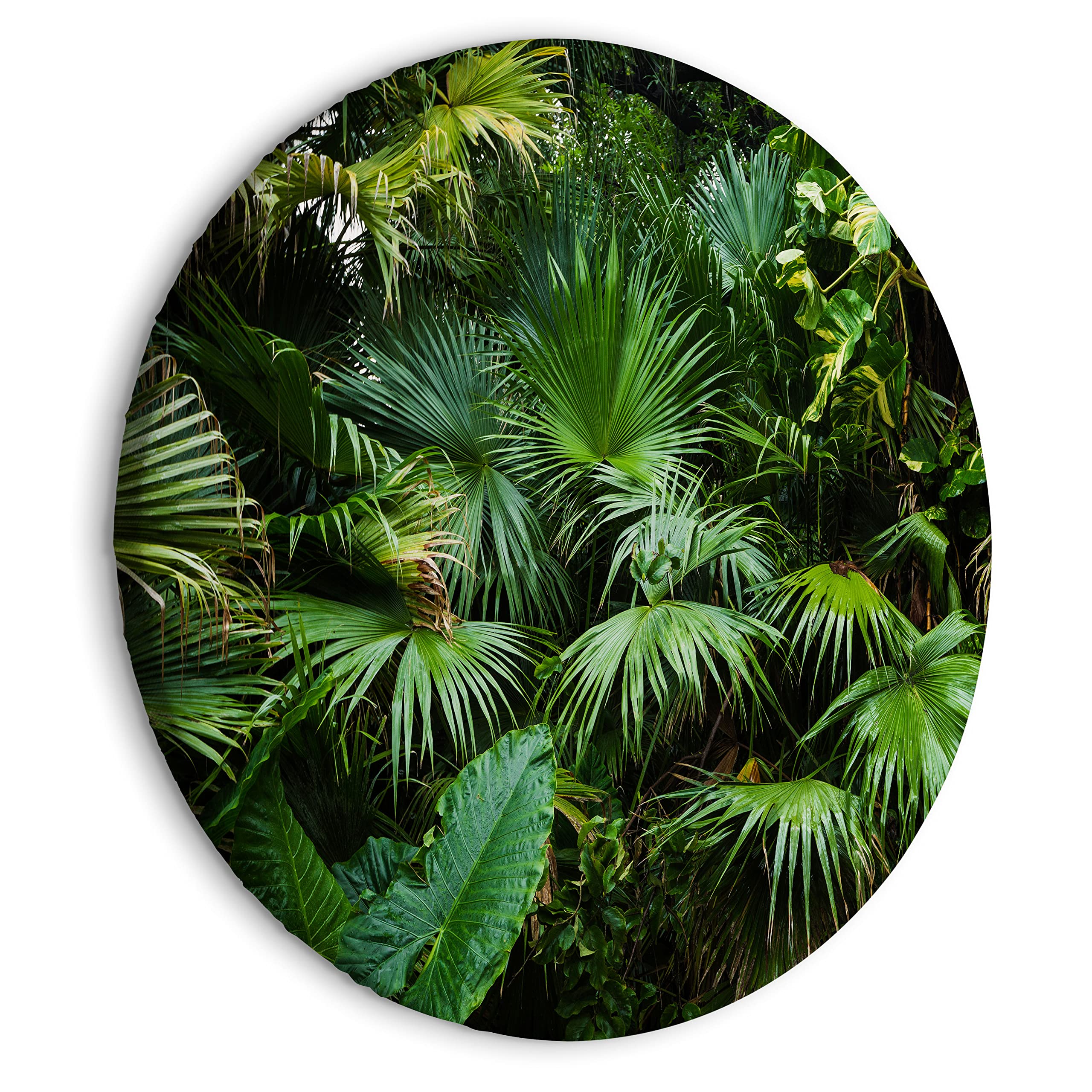 artgeist Round Painting Canvas Wall Art Print Tropical 24x24 in - 1pcs Home Decor Framed Stretched Picture Photo Artwork Image Tropical Leaves Monstera Jungle Rain Forest b-B-10102-bc-a