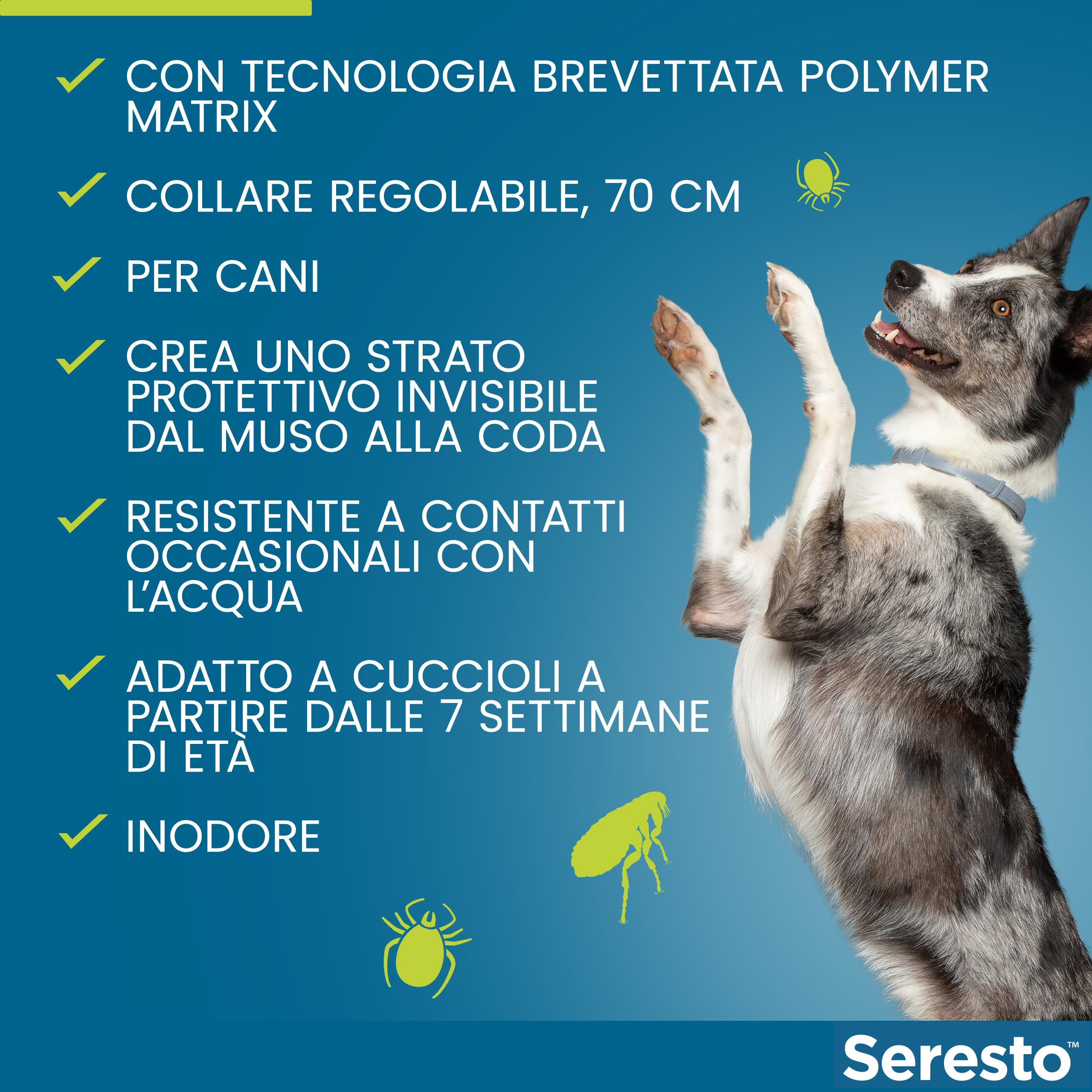 Seresto collare antiparassitario per cani oltre 8 kg. Elimina pulci, zecche, pidocchi e protegge dal rischio di trasmissione della leishmaniosi fino a 8 mesi.