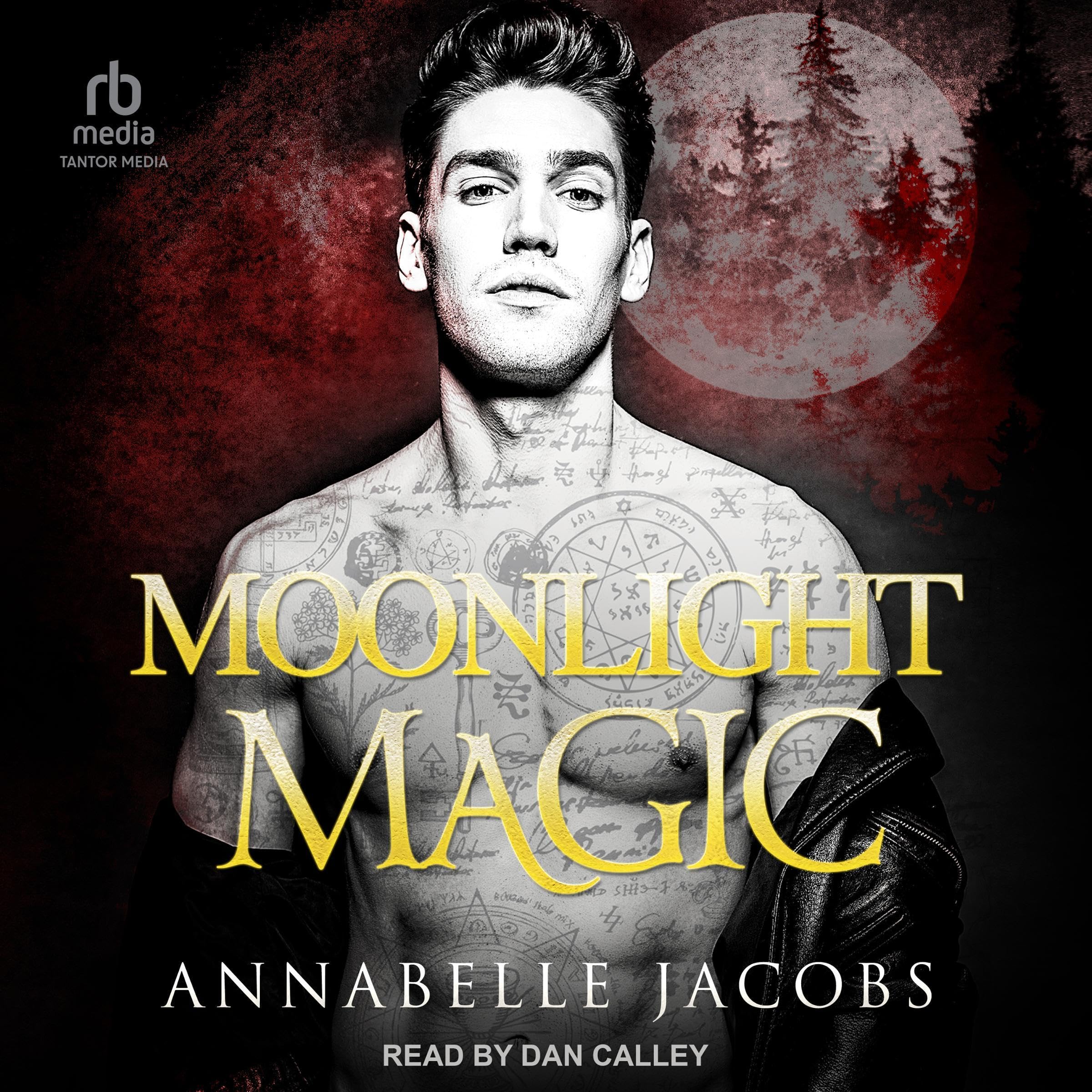 Cover art for Moonlight Magic