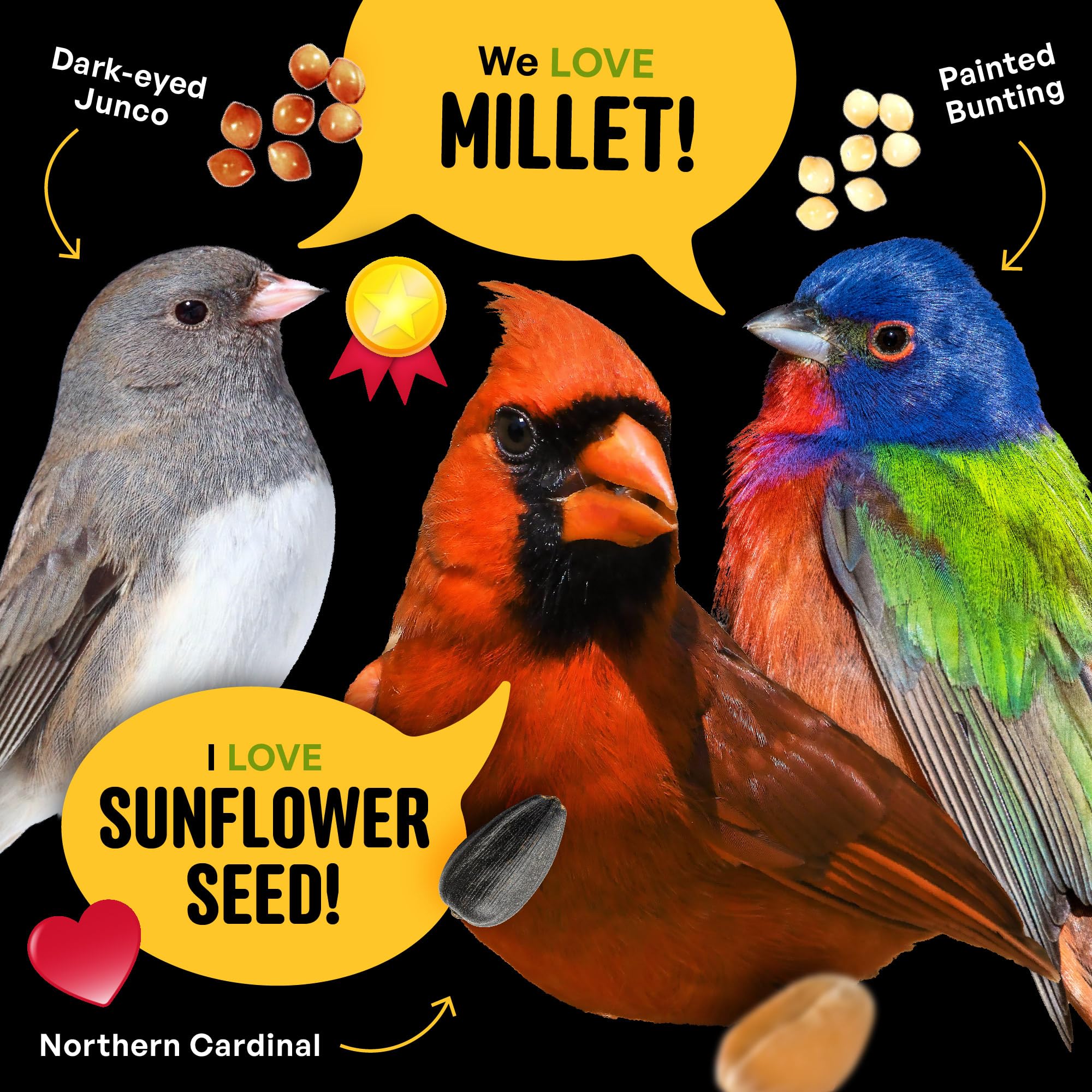 Cool Birds All Birds - Semi di uccelli selvatici – 4,5 kg – Miscela classica con girasole olio nero, miglio bianco, cartamo, arachidi e cuori di girasole – Mangime bilanciato per uccelli da esterno
