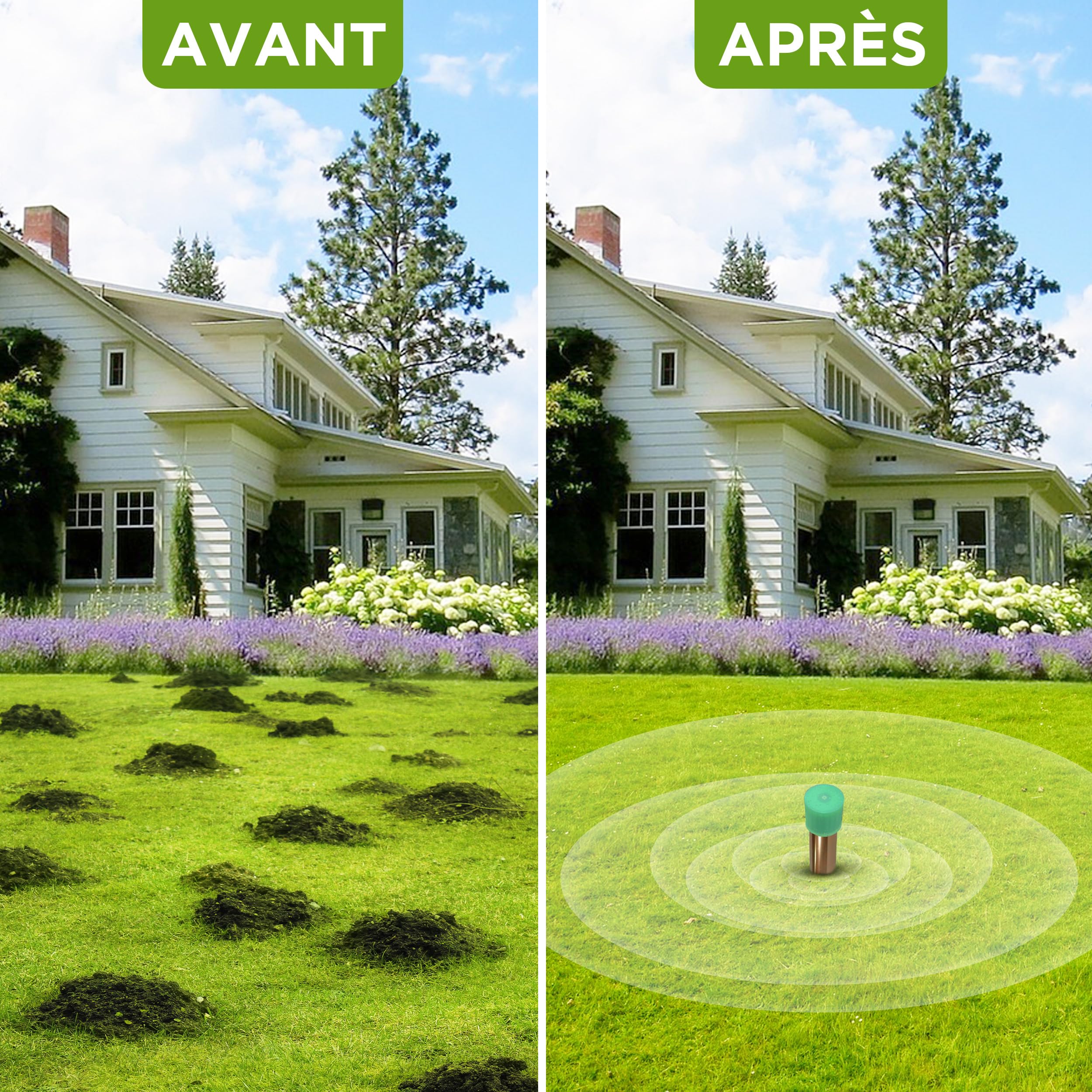 ISOTRONIC Répulsif Anti-Taupes pour repousser Les Taupes, Les campagnols et Les Serpents – Répulsif Anti-Taupes à Piles avec Piquet de Sol pour Le Jardin – Zone d'efficacité de 1 250 m² (1 unité)