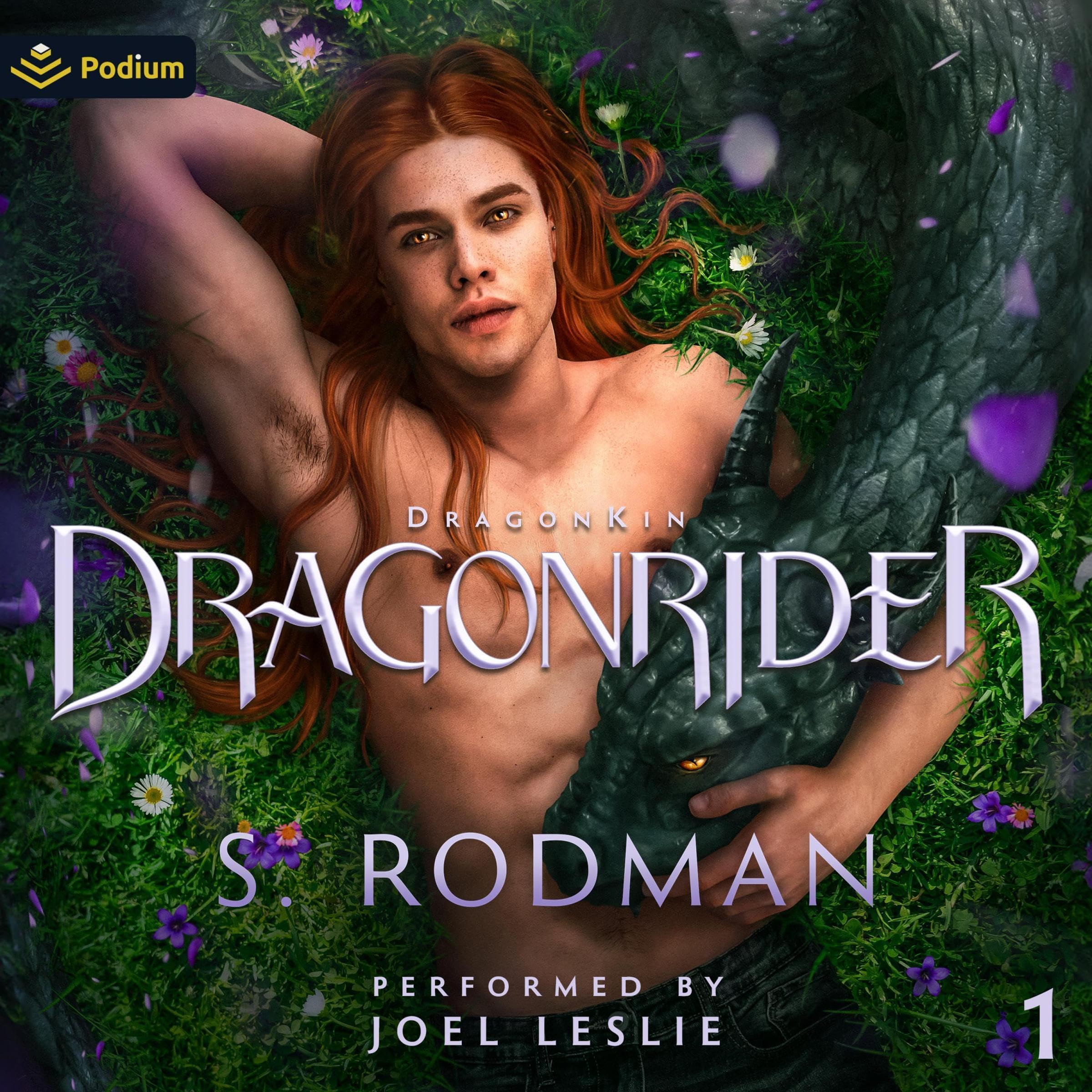 Cover art for DragonRider