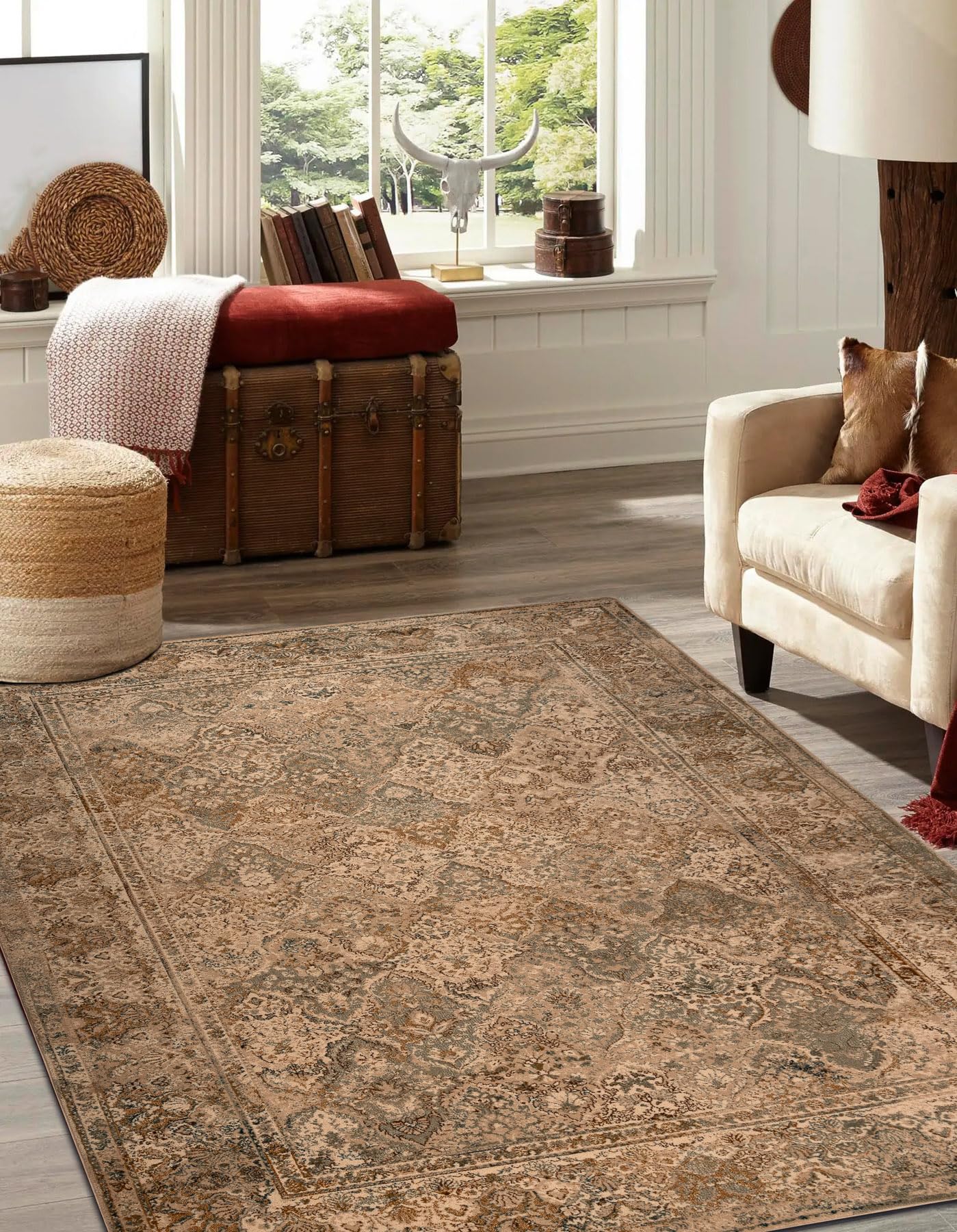 rugsx Wollteppich Omega für Wohnzimmer Schlafzimmer Beige 200x300 cm