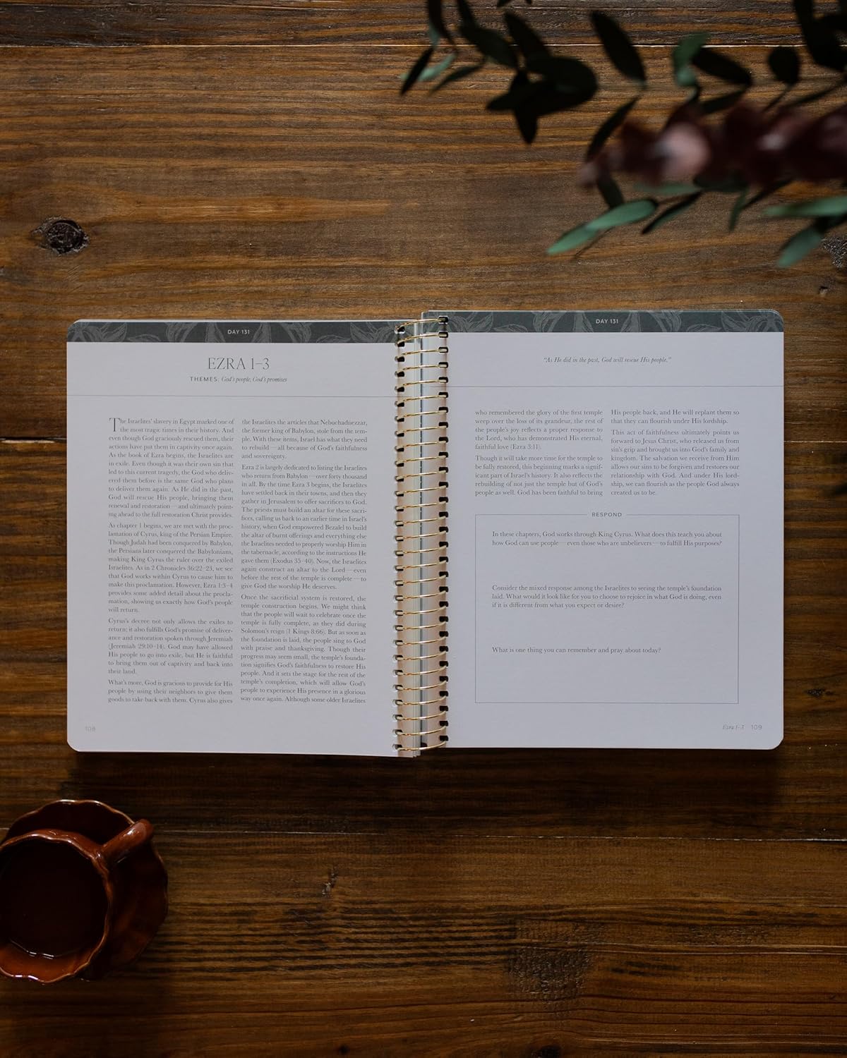 A Year in the Bible: 365 Days of Discovering the Beauty of Jesus from Genesis to Revelation - Volume 2      Spiral-bound – November 3, 2025