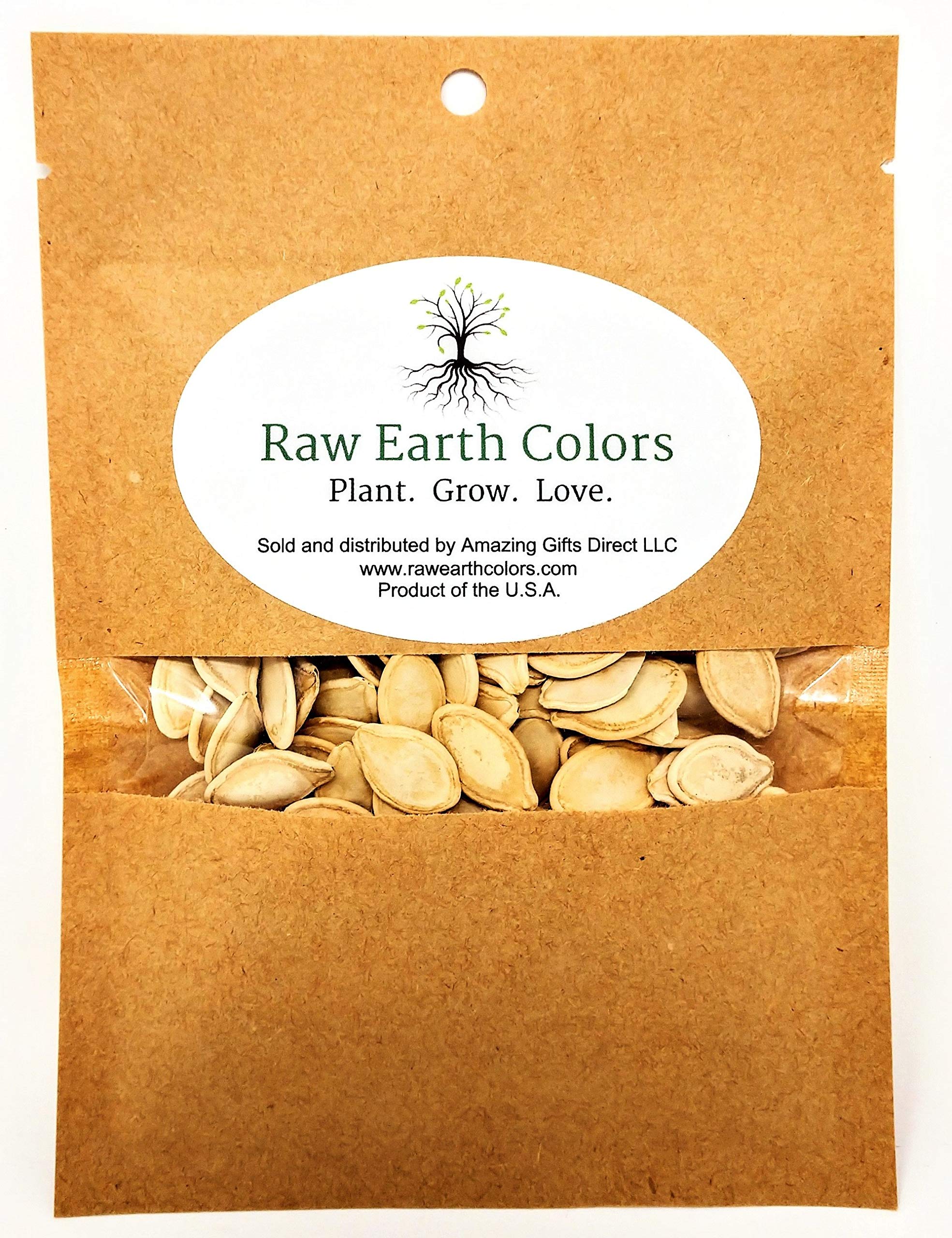 Planting Pumpkin Seeds