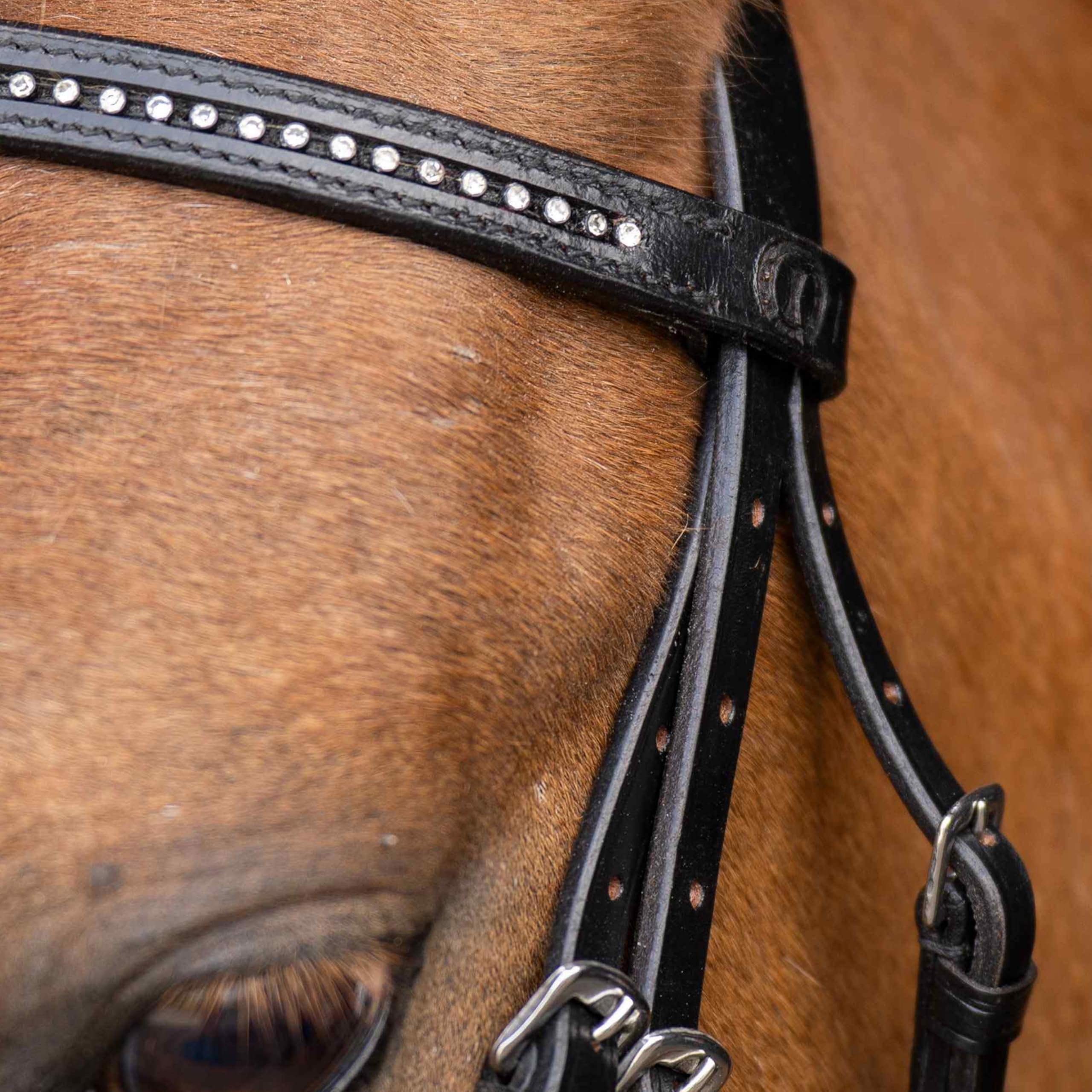 Imperial Riding Shetty-Trense IRH Stormy, Zaumzeug für Mini-Shettys und Shetlandponys mit Strass-Stirnband, Leder, Schwarz-Kristall