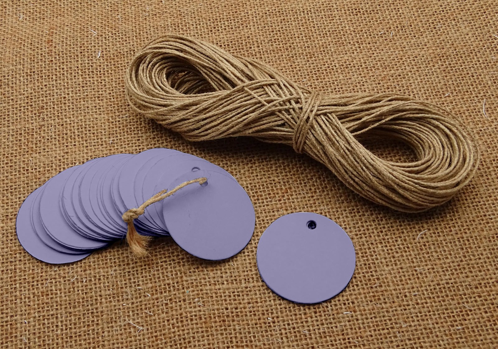 Darling Souvenir 100 Pcs Round Blank Cardstock Hang Tag Wedding Party Favor Gift Tags with Free Natural Jute Twine - Colors Available