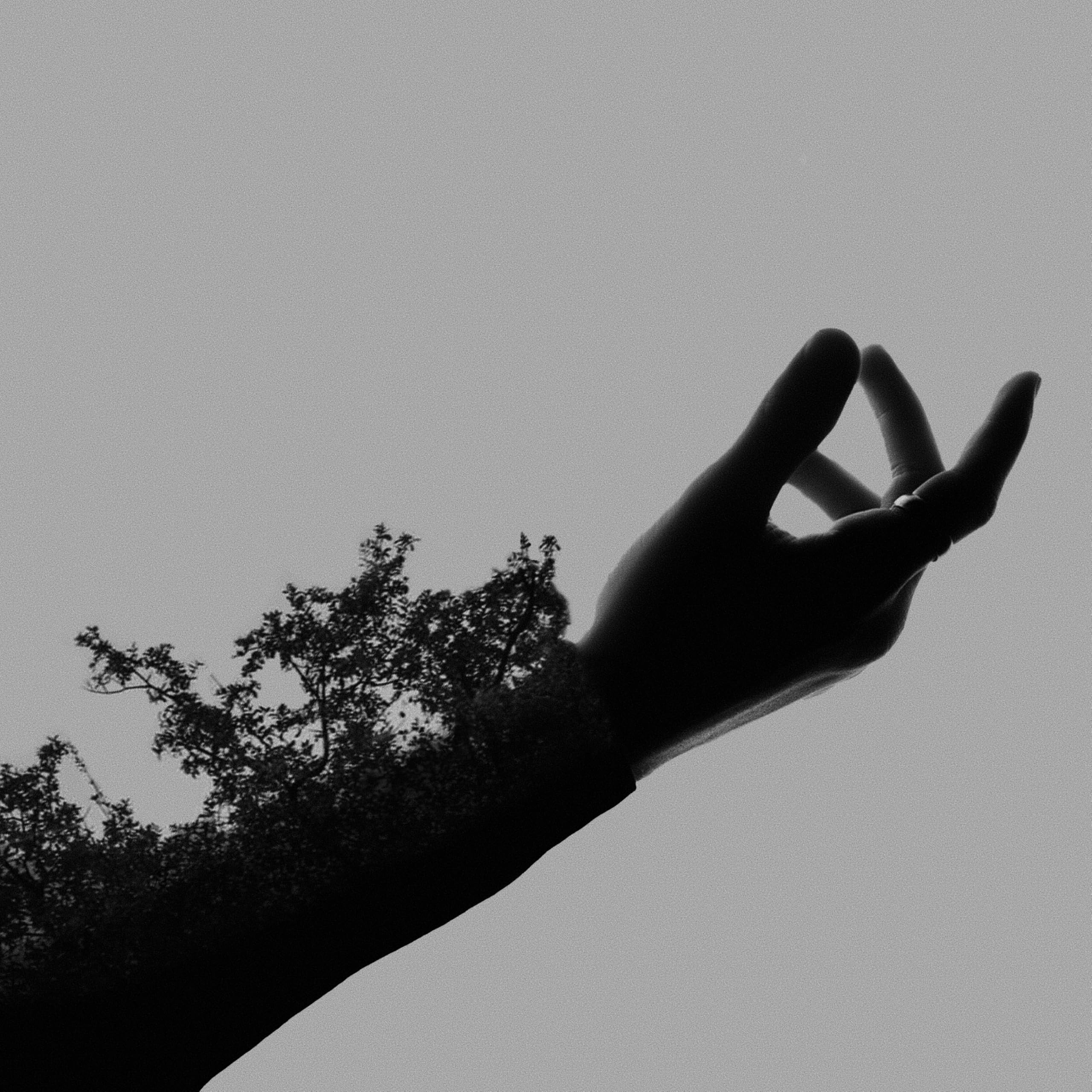 bulletsbetweentongues