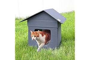 Kitty City Outdoor Stackable Cat House