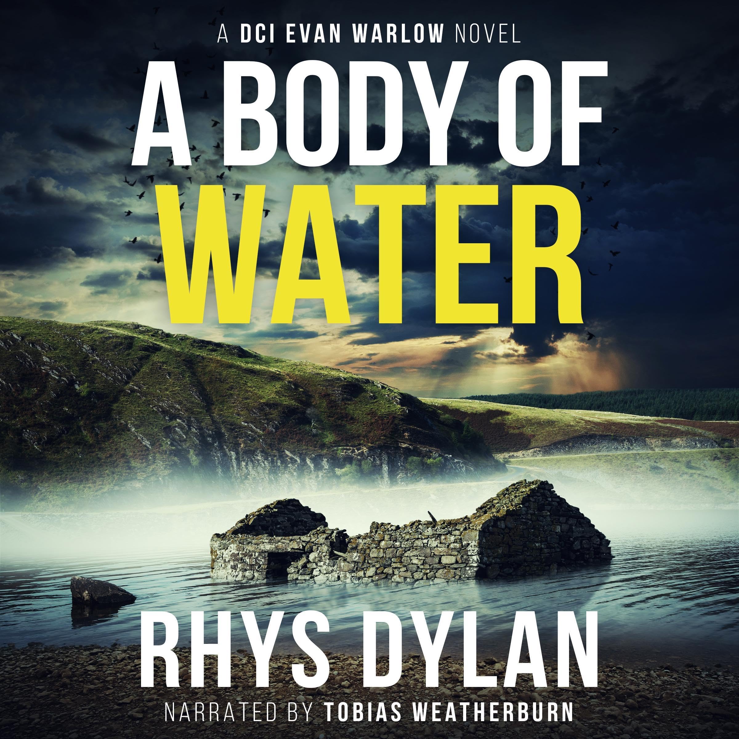 Cover art for A Body of Water