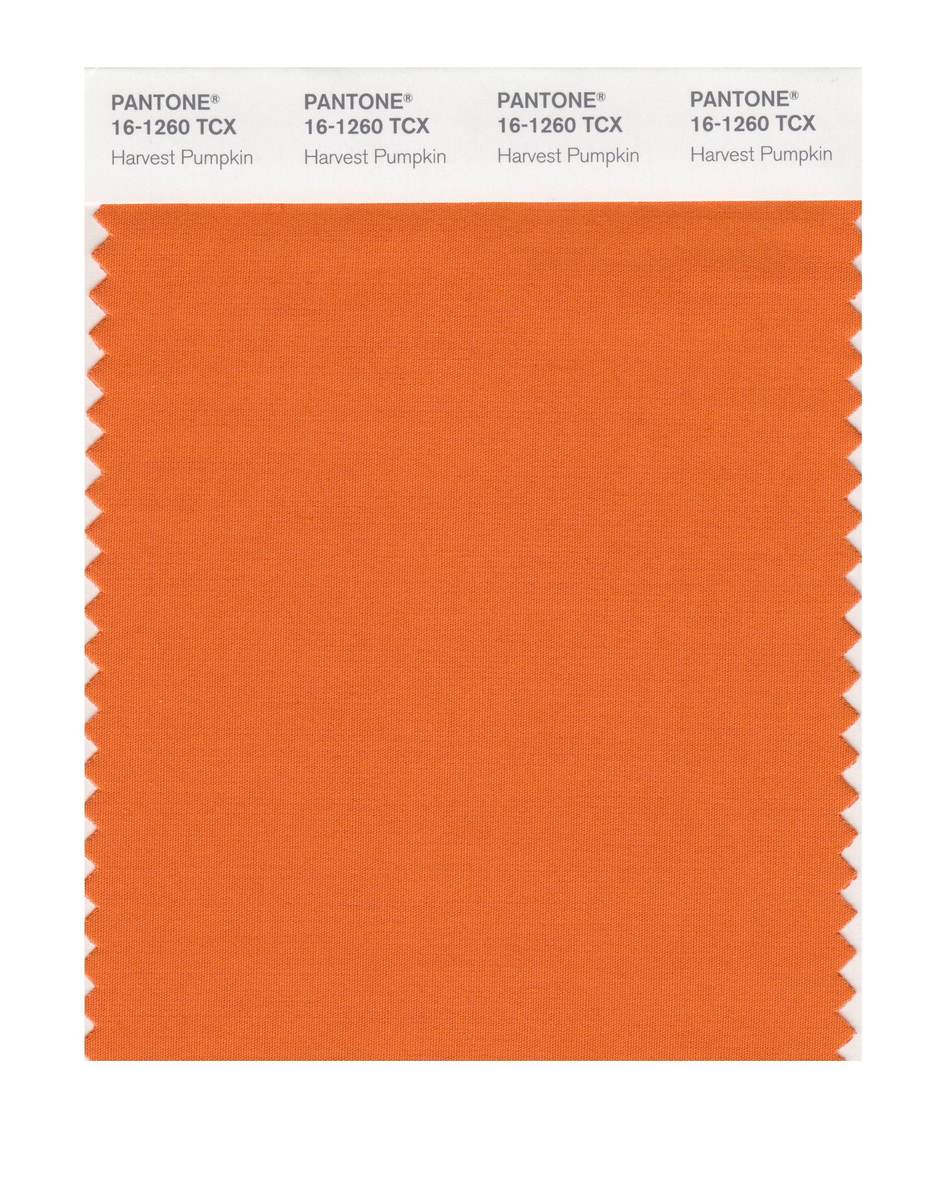 Amazon.com: PANTONE Smart 16-1260X Color Swatch Card, Harvest
