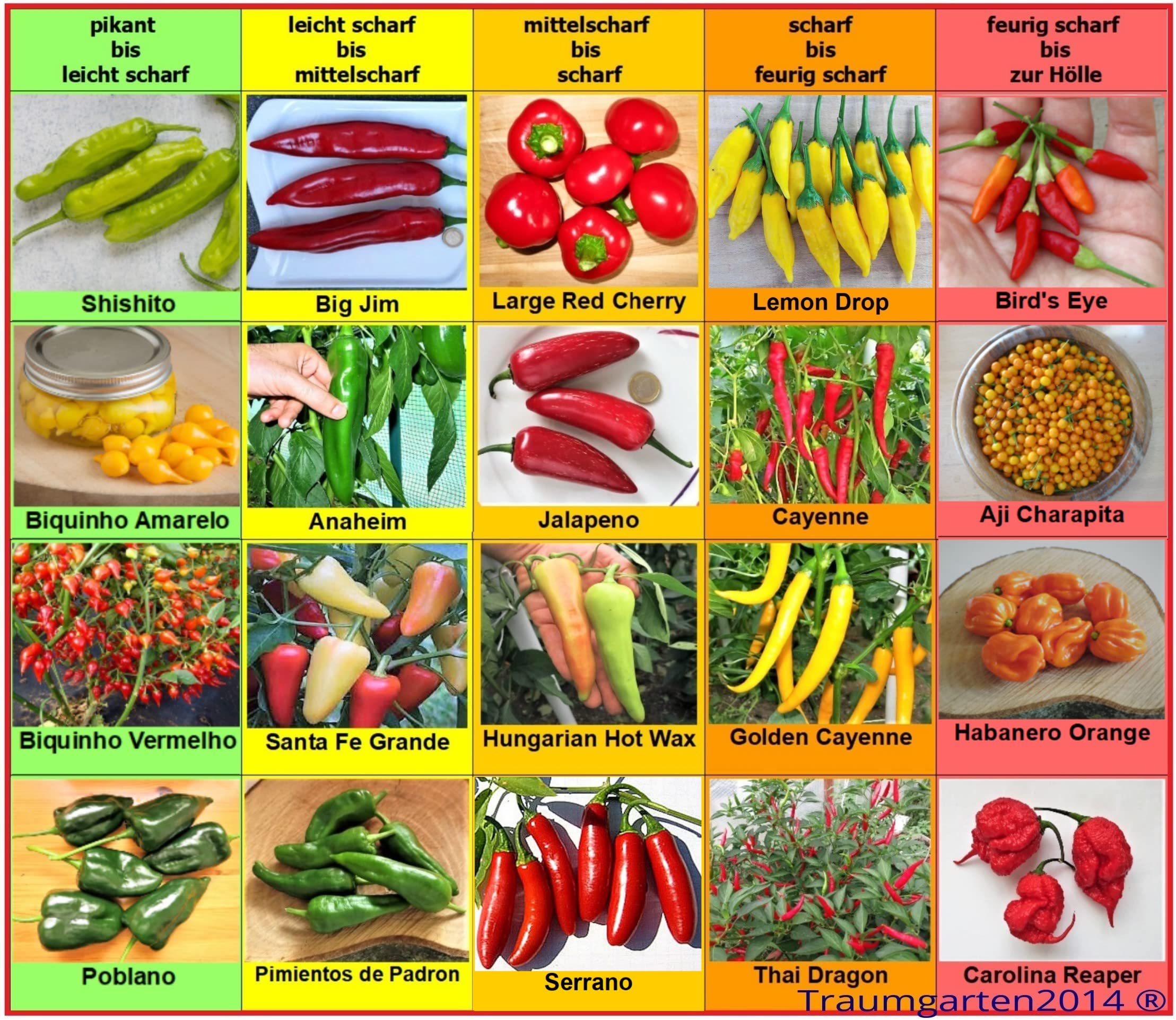 Buy Hot Pepper Seeds 20 Varieties from mild to the Hottest Peppers in