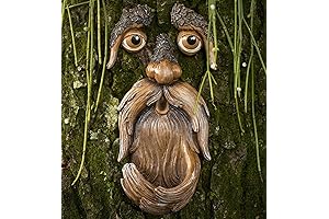 Unique Outdoor Tree Face Decorations for a Whimsical Garden