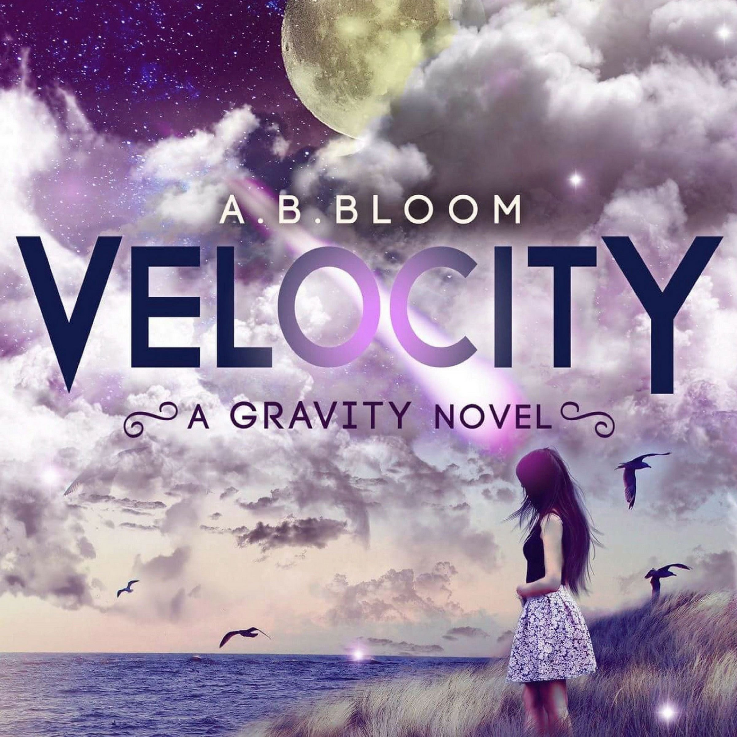 Cover art for Velocity: The Gravity Series, Book 2