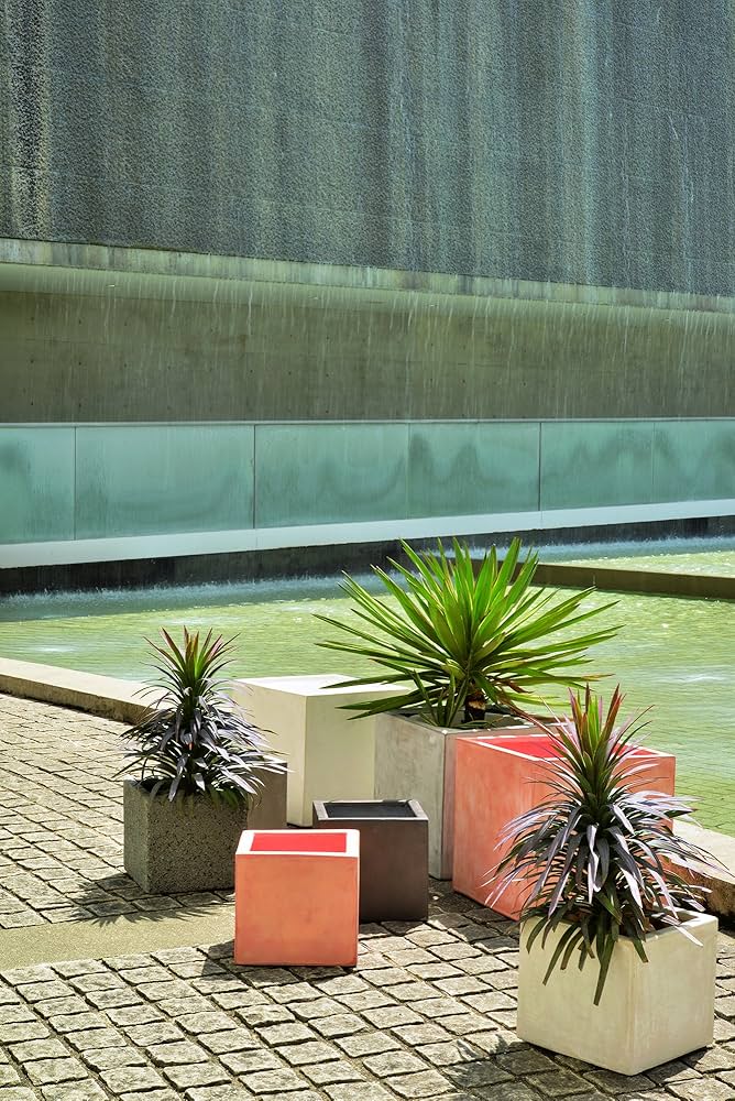 ブランテリア Onitsuka Tiger California 78 EX - Peacoat/Pure Silver