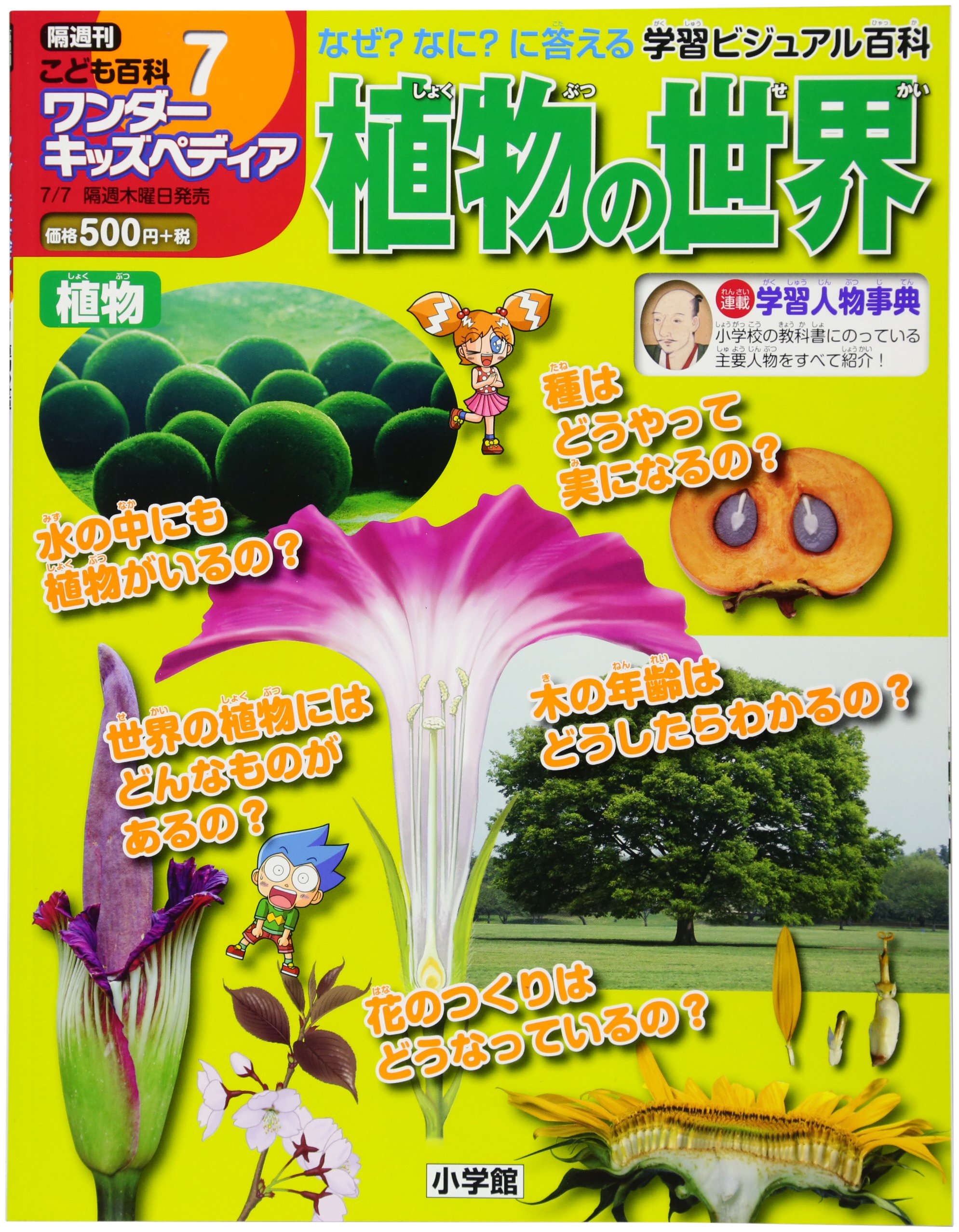 Amazon.co.jp: 隔週刊 小学館こども百科ワンダーキッズペディア(7