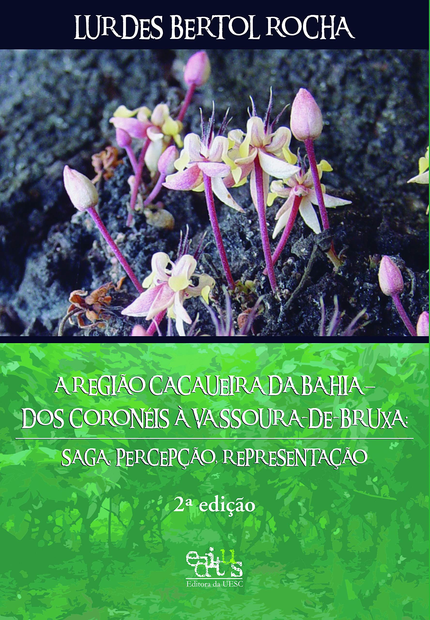 Région cacaoyère de Bahia : édition exclusive sur l'épopée des colonels