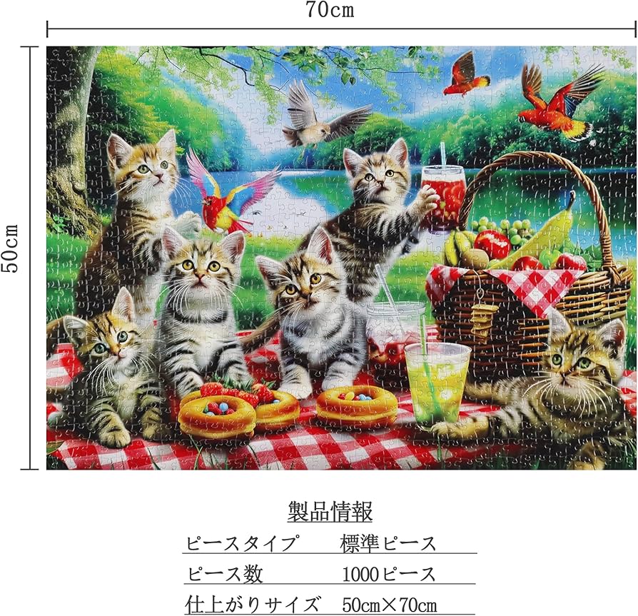 91RtXOJlJeL._AC_UF894,