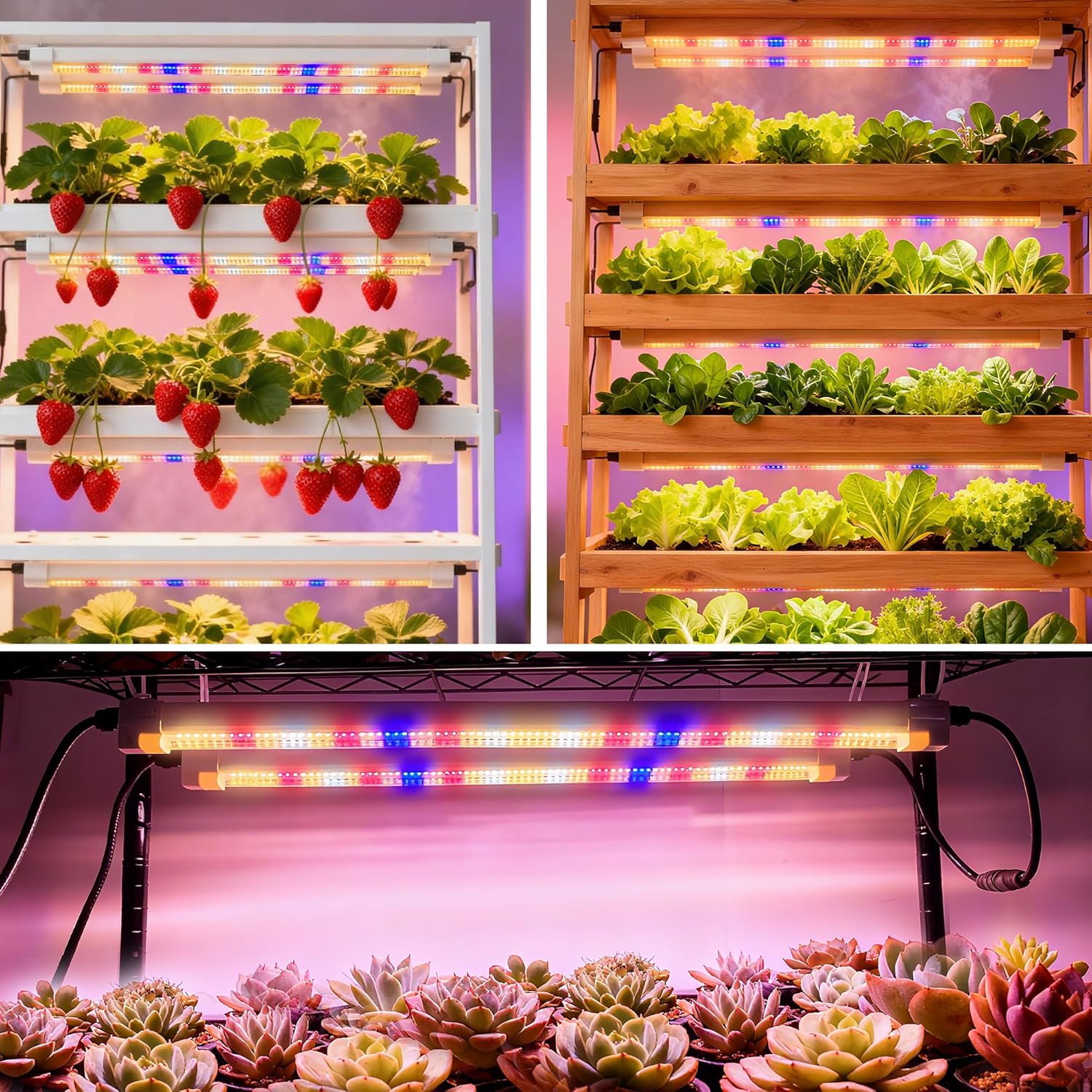 FARMLITE Grow Lights for Indoor Plants Full Spectrum Grow Light Strips for Indoor Plants Grow Lamp Led Seeding Grow Light (8 Pack)