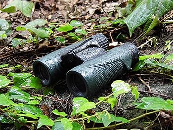 Amazon | SIGHTRON 双眼鏡 ダハプリズム 10倍25㎜口径 完全防水