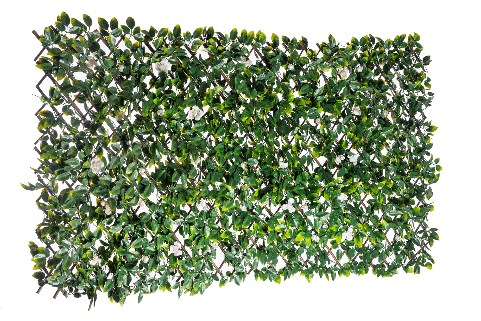 Naturae Decor Expandable Willow Trellis - Outdoor Privacy Screen - Sturdy and Flexible - Realistic Look - 40 in x 80 in - Rose Leaves