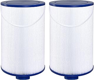 Wowreed Spa Filter Compatible with FC-2402, 303279, Free Flow, AquaTerra, Fantasy Hot Tub Filter, 1 1/2" Finer Thread, 2 Pack