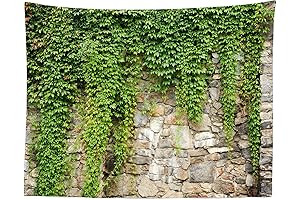 BELECO Stone Wall Tapestry Greenery