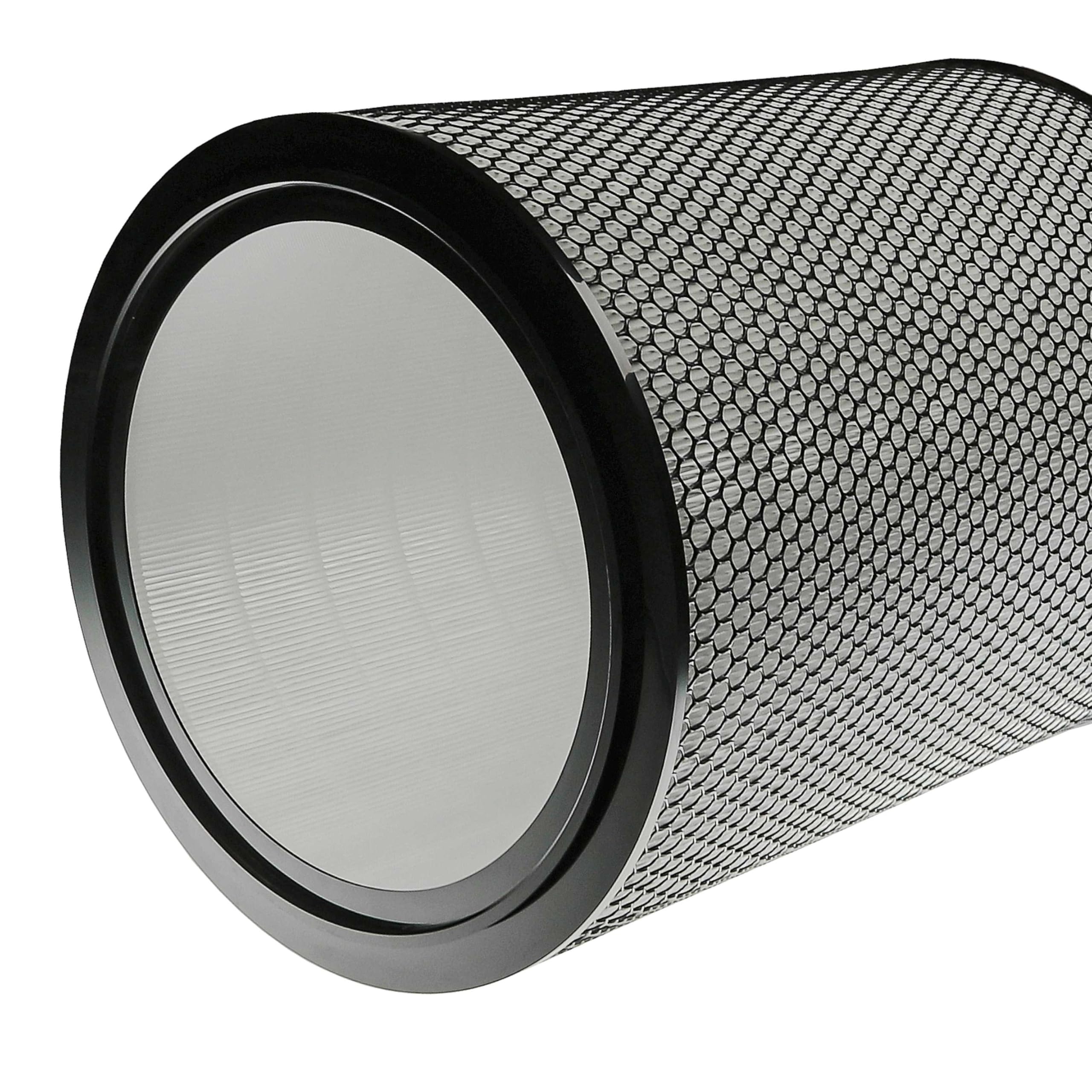 vhbw Filtro H13 compatible con Dyson HEPA Big+Quiet Formaldehyde BP06