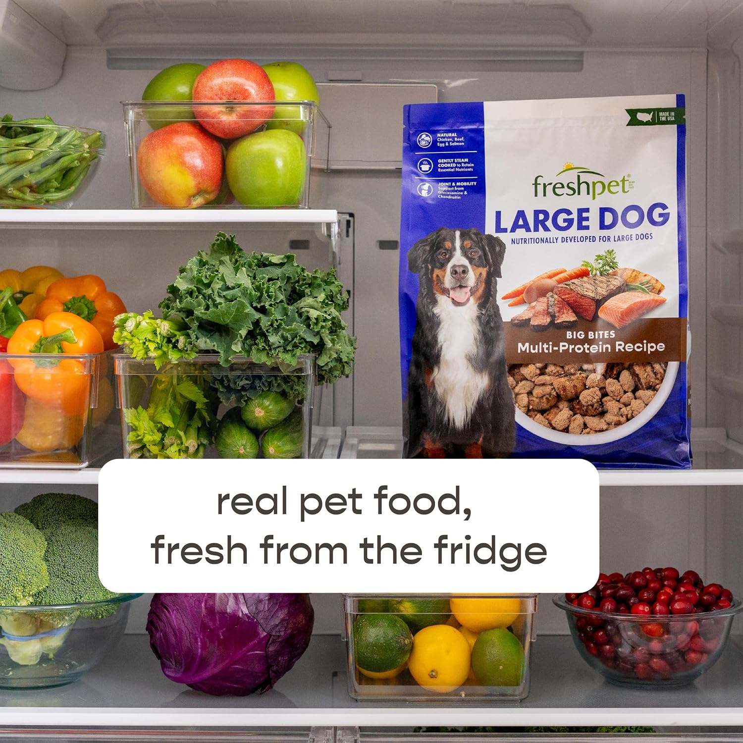 Freshpet Fresh Dog Food, Large Dog Multi-Protein: Chicken, Beef, Egg & Salmon Recipe, 5 lb.