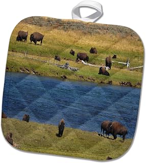 8x8 Potholder - Buffalo Herd by The Water at Yellowstone Animals