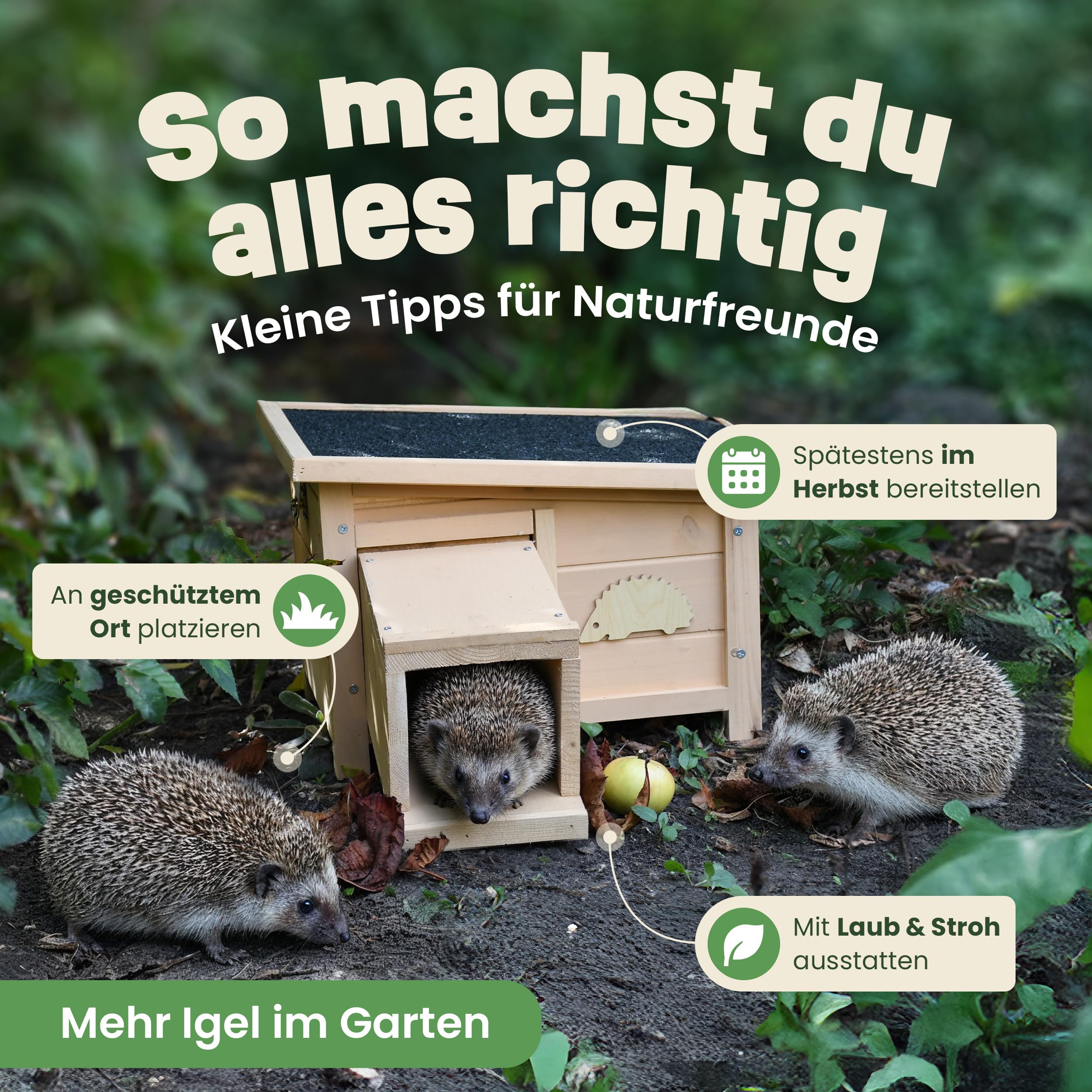 zooprinz Igelhaus Winterfest mit Boden – sicheres Outdoor Igelhotel für den Garten, wetterfestes Holz Haus mit geschütztem Eingang & abnehmbarem Dach, Bausatz ohne Werkzeug – draussen trocken & warm