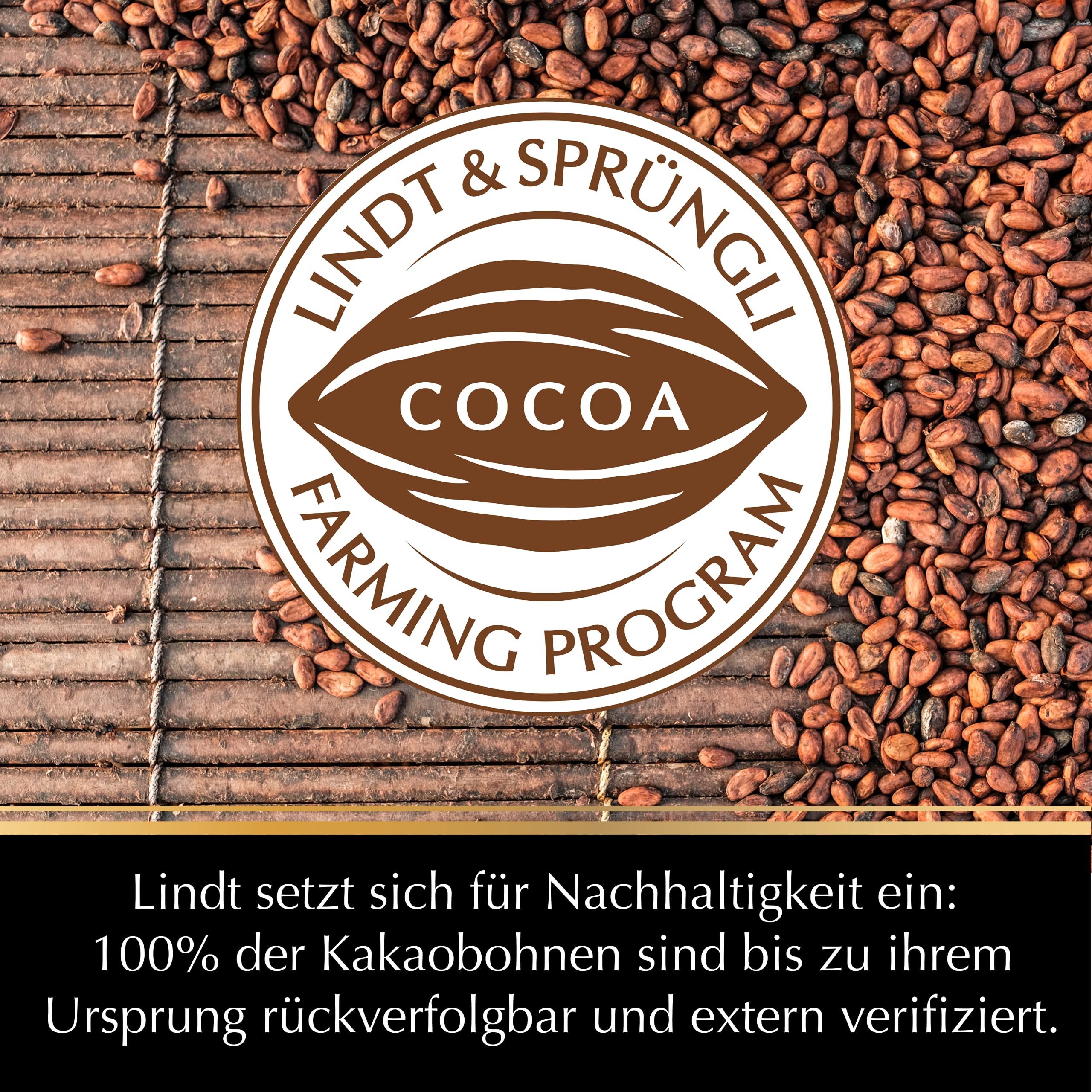 Lindt Schokolade EXCELLENCE Caramel und Fleur de Sel, Promotion | 10 x 100 g Tafel |Feinherbe Schokolade mit Karamell und Meersalz verfeinert | Schokoladentafel | Schokoladengeschenk