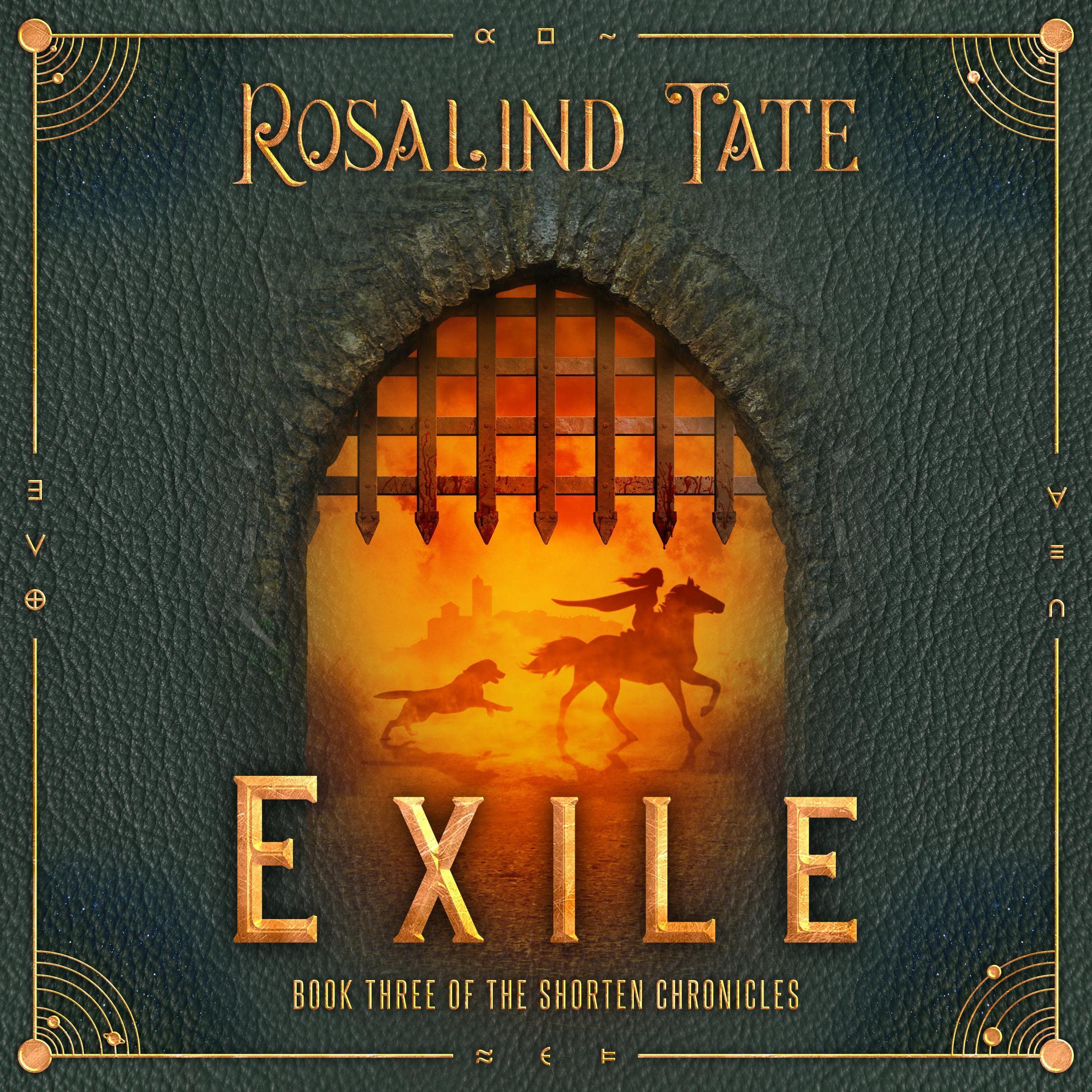 Cover art for Exile