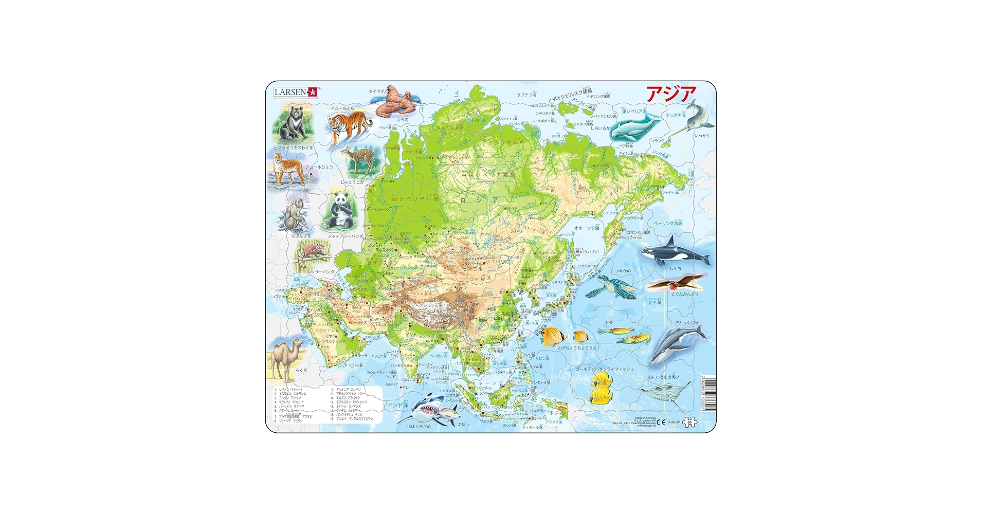 世界地図 Amazon.co.jp: HISTORIX 2006 火山の世界地図 地震 衝撃
