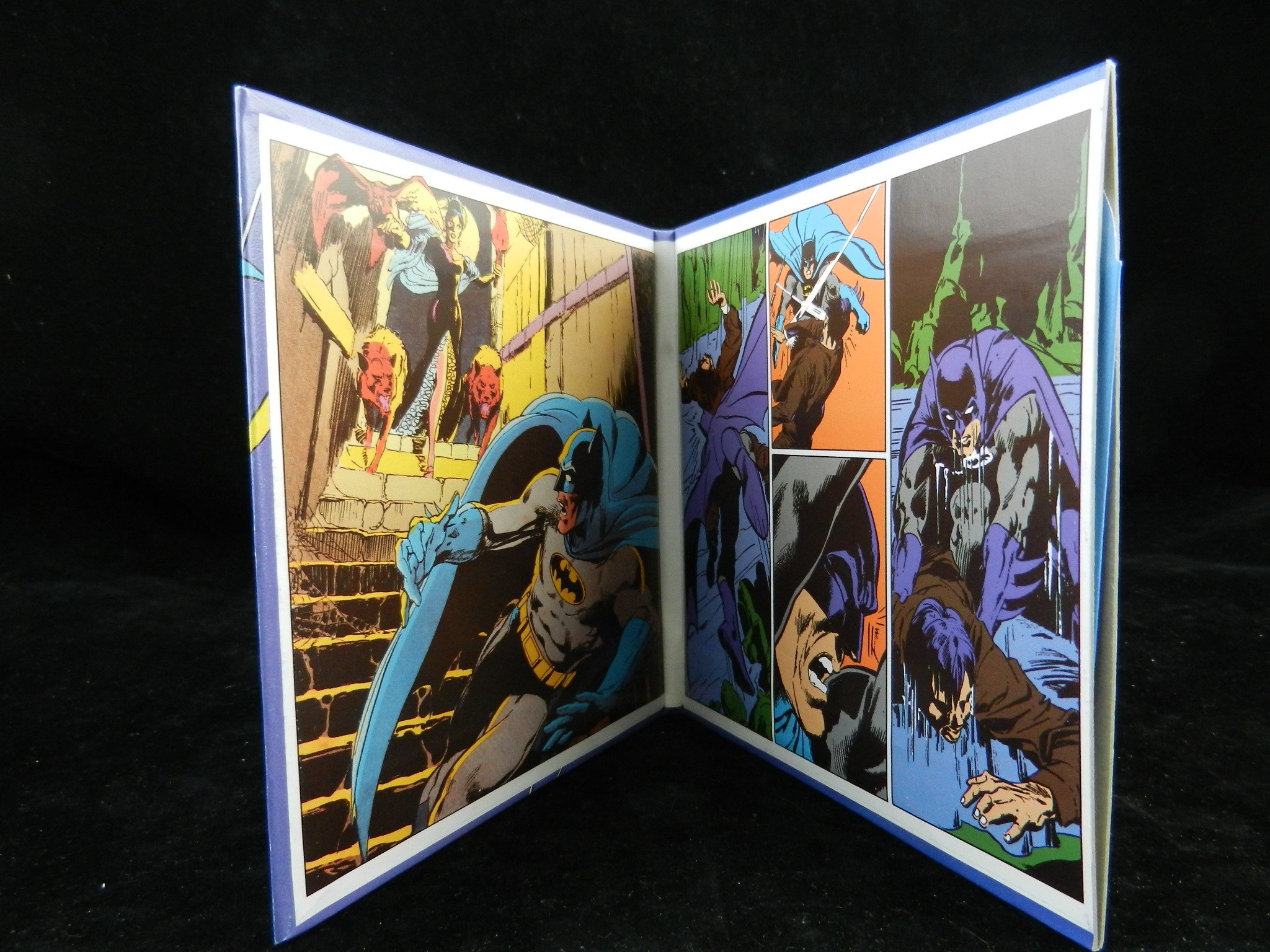 Batman & Robin