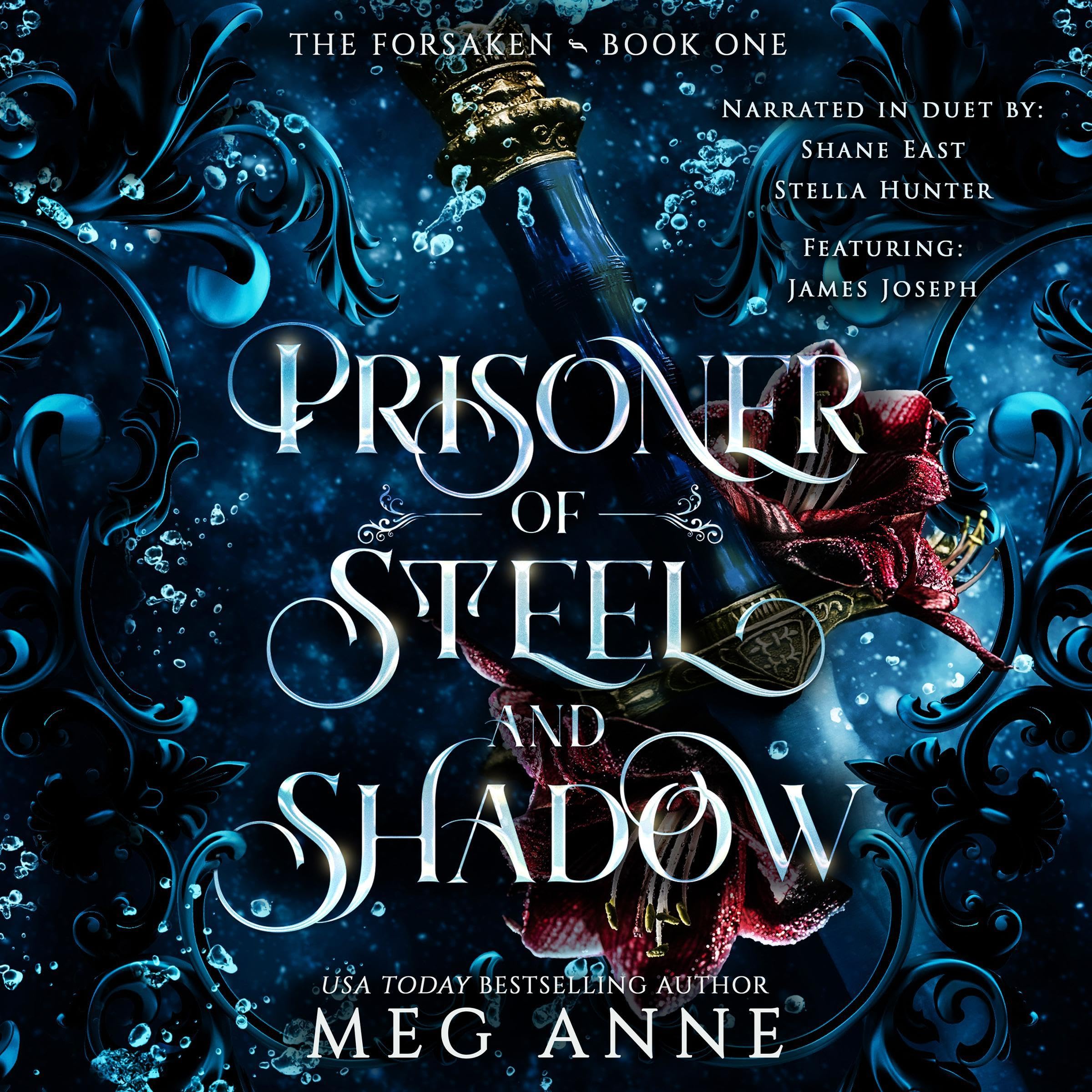 Cover art for Prisoner of Steel and Shadow
