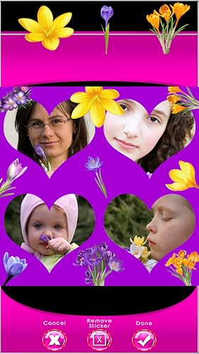 Crocus Photo Collage