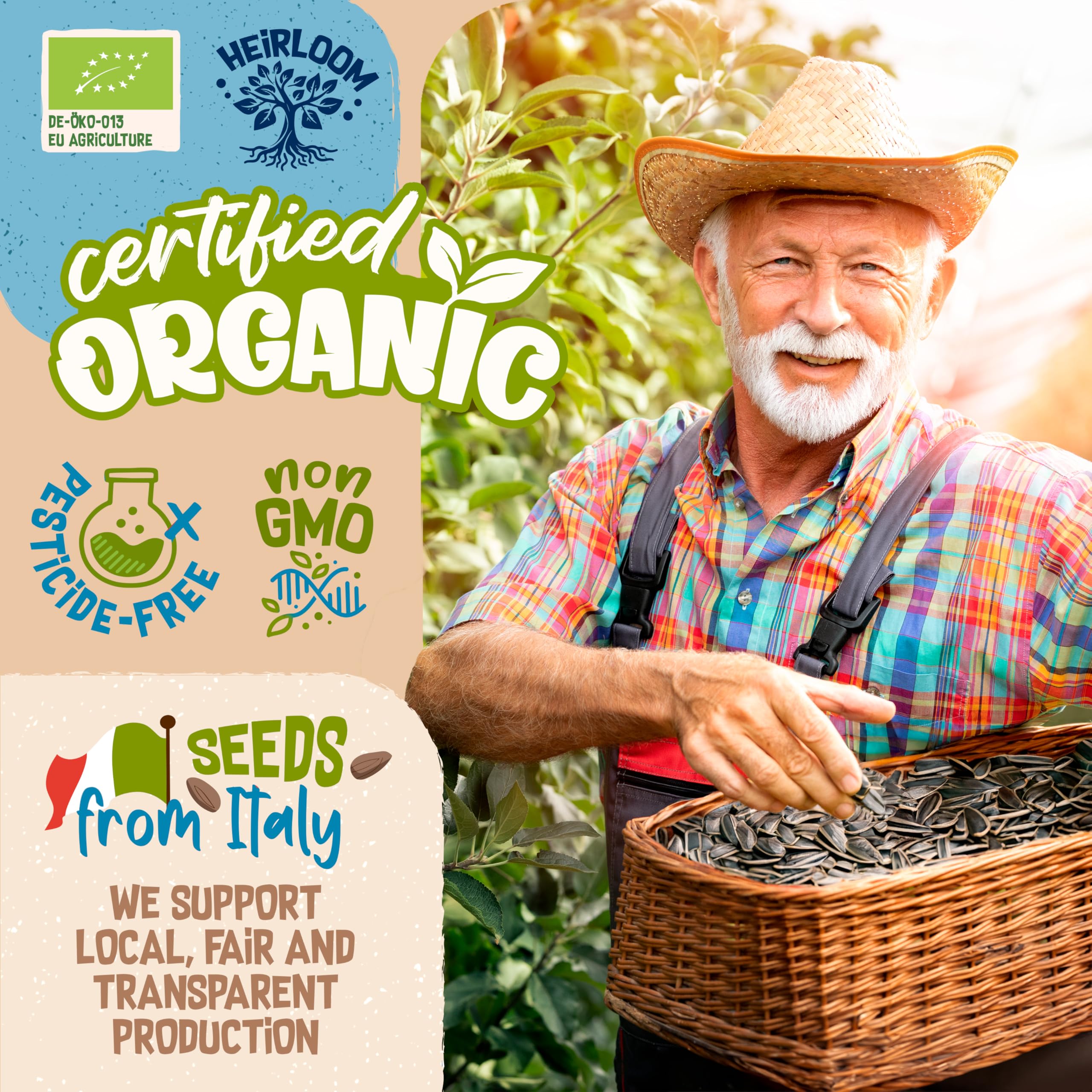 ZenGreens® - Organiczne nasiona lucerny - Wybierz pomiędzy 10, 200 g i 500 - nasiona lucerny o zdolności kiełkowania ponad 97% - nasiona lucerny kiełki