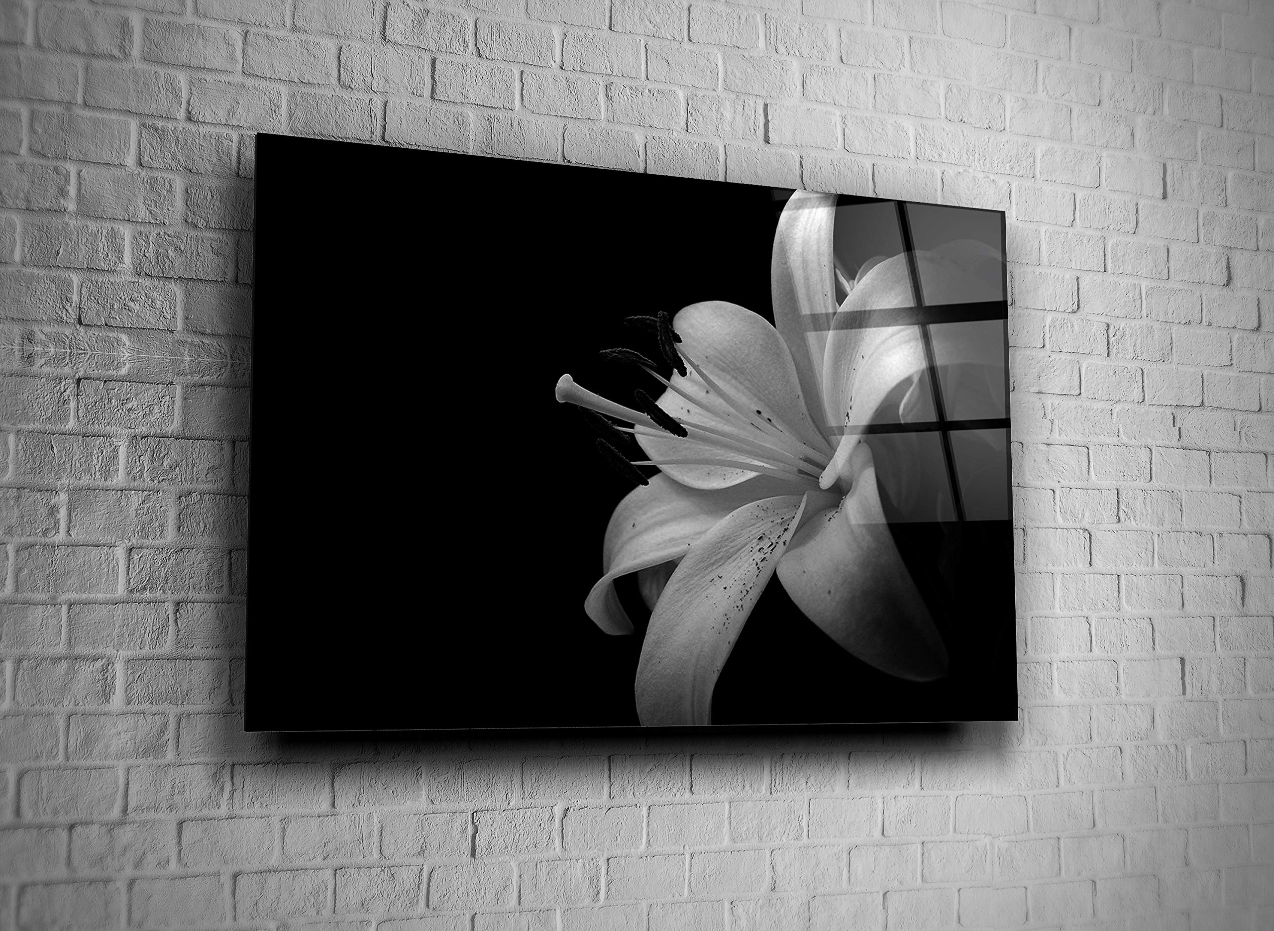 GenericcLily Flover Nature Black White Print Glass Wall Art Tempered Glass Luxury Gift