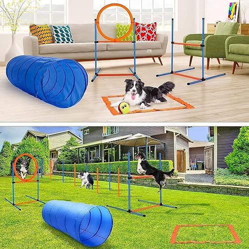 Miniatura 4 de Equipo de entrenamiento de agilidad para perros, kit de inicio de entrenamiento de carrera de obstáculos para perros, juego para mascotas al aire