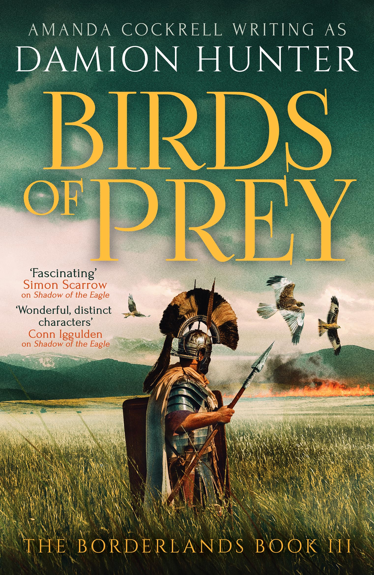 Birds of Prey by Damion Hunter PAPERBACK 9781804365793