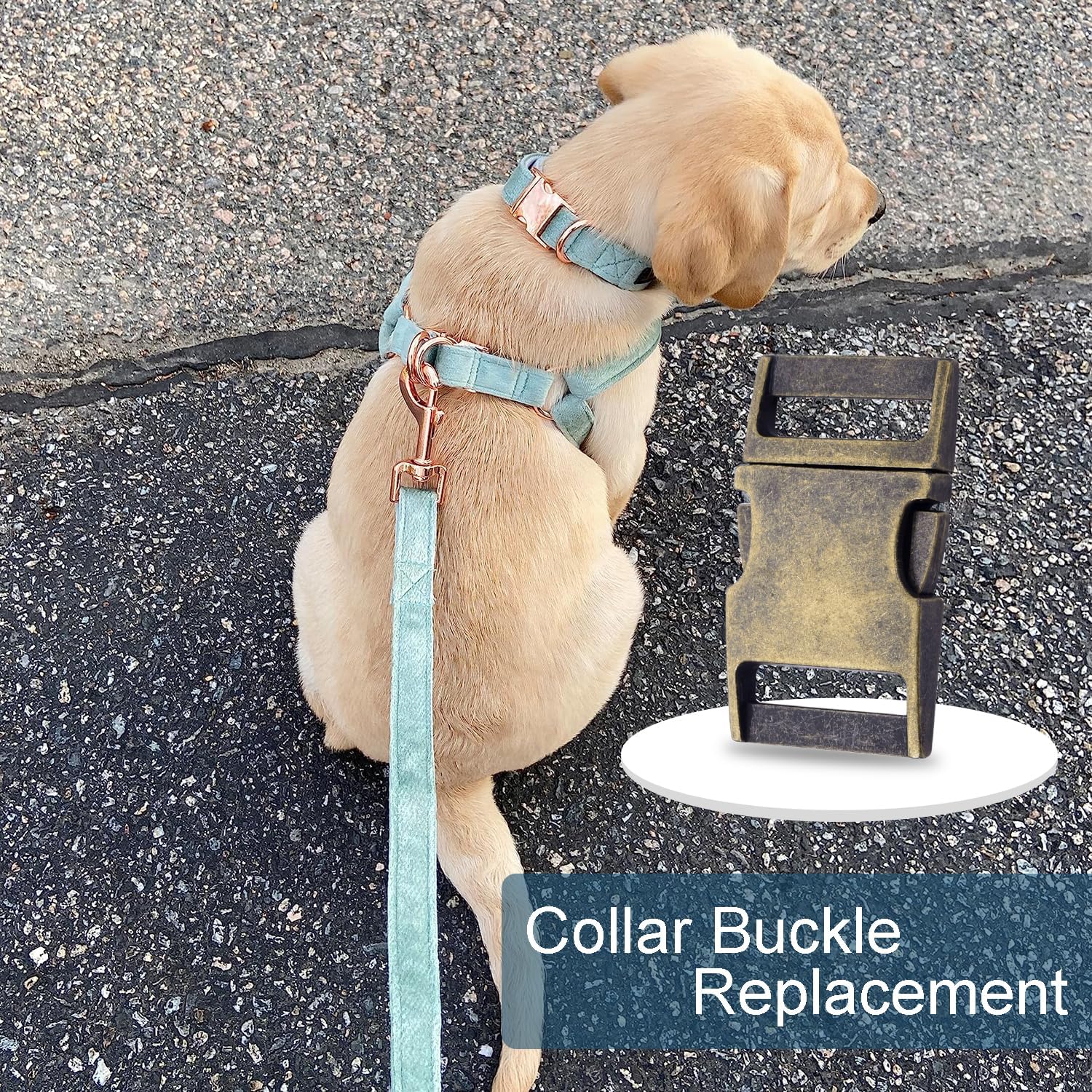 CooBigo Metal Side Release Buckle Webbing Buckle Paracord Bracelet Clasps for Leather Strap Dog Collars Harness Belt - Image 6