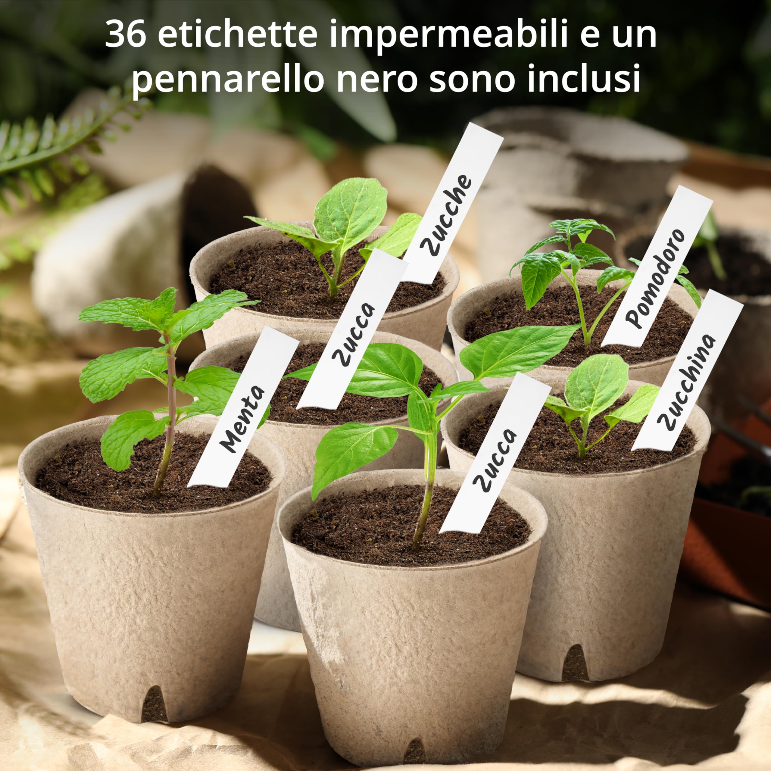 Vasi Da Semina In Cellulosa Biodegradabili | 20 Pezzi | Altezza 5.5 Cm | Per Orto, Giardinaggio Eco-Friendly - Foto 8