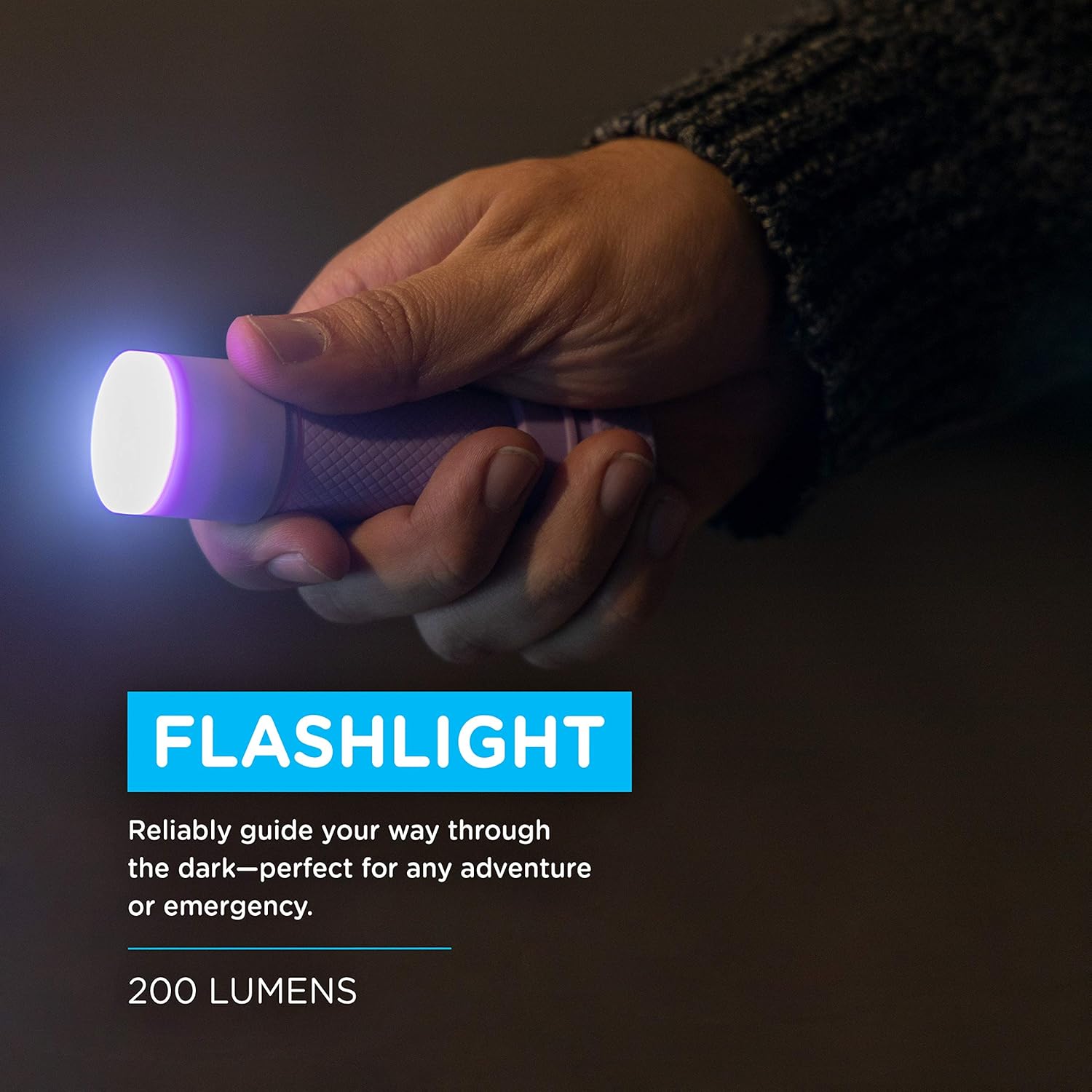 Enbrighten, Purple, 2 in 1 LED Combo Lantern, Flashlight, Task Light, Battery Operated, 200 Lumens, High/Low/Off, Table Lamp, Desk, Camping, Emergency, Storm, 57810 : Everything Else