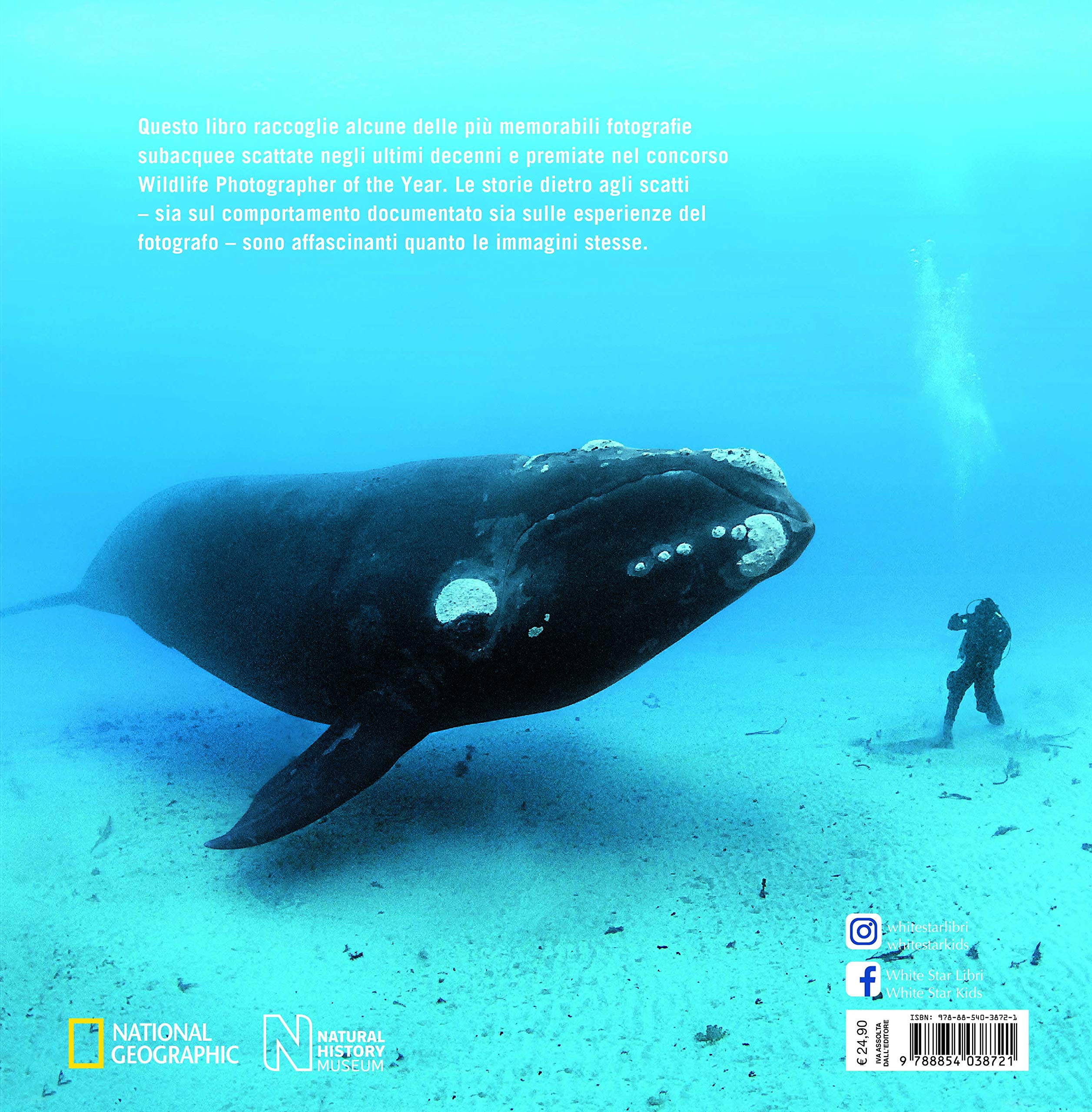 L'incredibile mondo sommerso. Insolite storie del mondo animale. Ediz. a colori