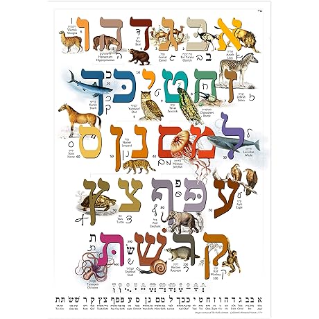 Hebrew Alphabet Flash Cards: Your Educational Adventure into the Ancient Language
