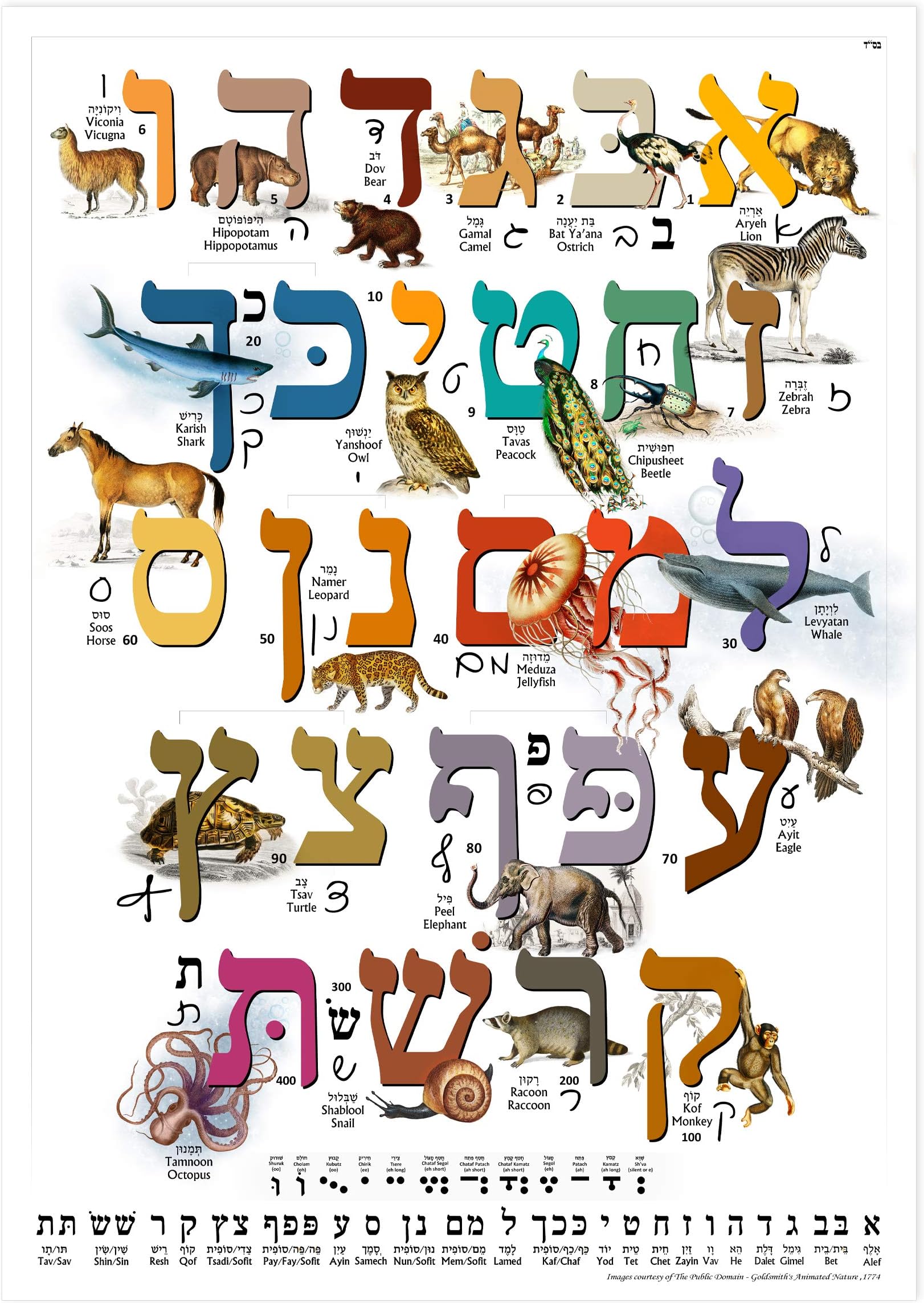 Illustrated Hebrew Aleph Bet Laminated Wall Chart with Animals ~ A Study Guide for Children. Print & Cursive Hebrew Alphabet (Alef Bet) Study Sheet (A3 11.7 x 16.5 in)